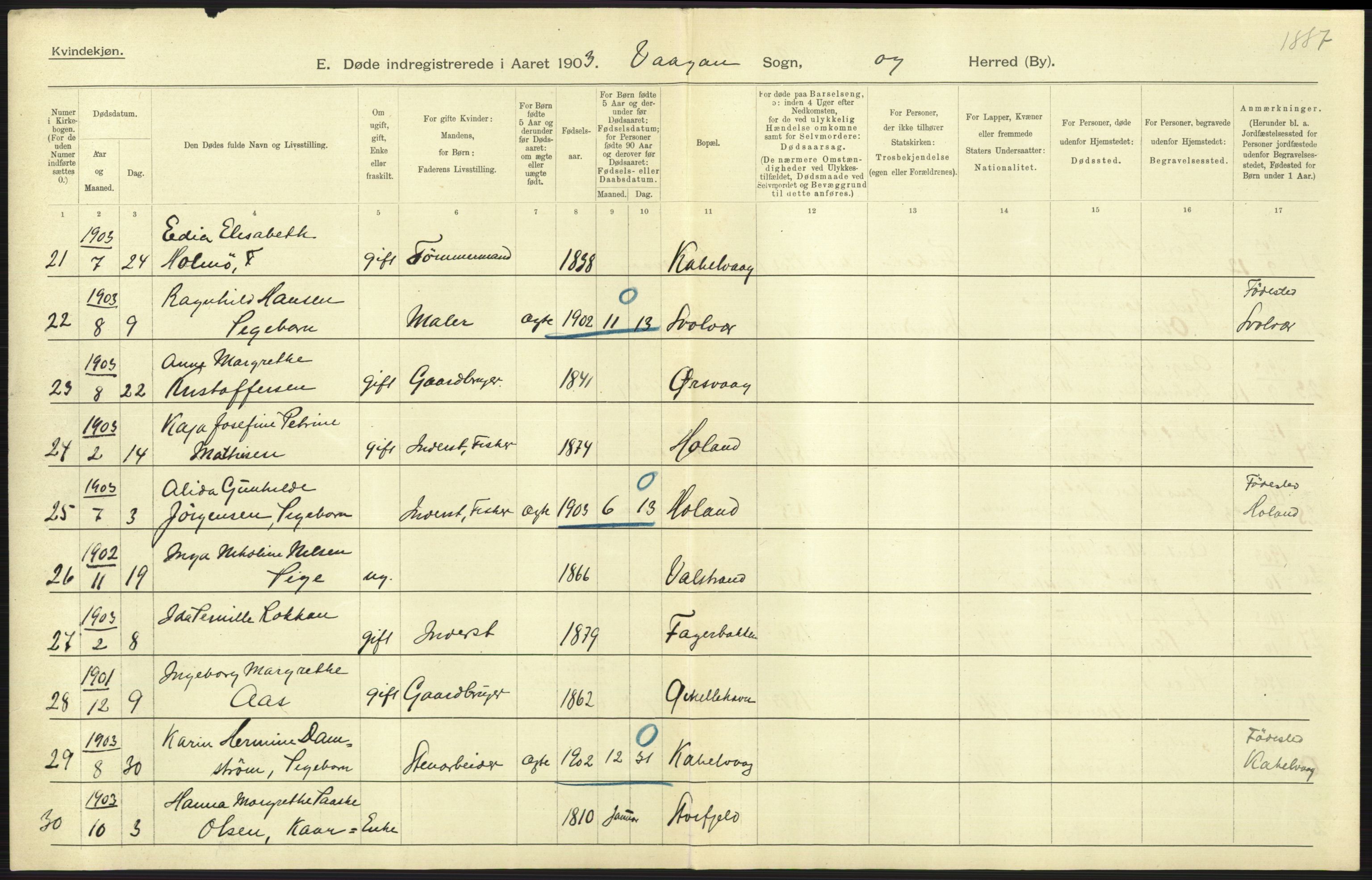 Statistisk sentralbyrå, Sosiodemografiske emner, Befolkning, AV/RA-S-2228/D/Df/Dfa/Dfaa/L0019: Nordlands amt: Fødte, gifte, døde., 1903, s. 239