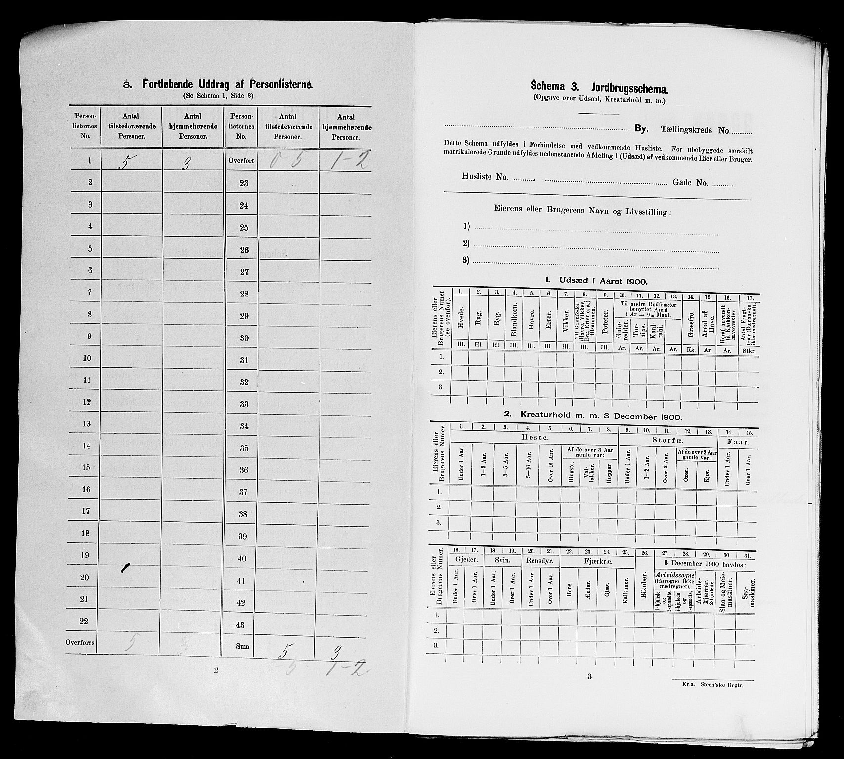 SAST, Folketelling 1900 for 1106 Haugesund kjøpstad, 1900, s. 1185