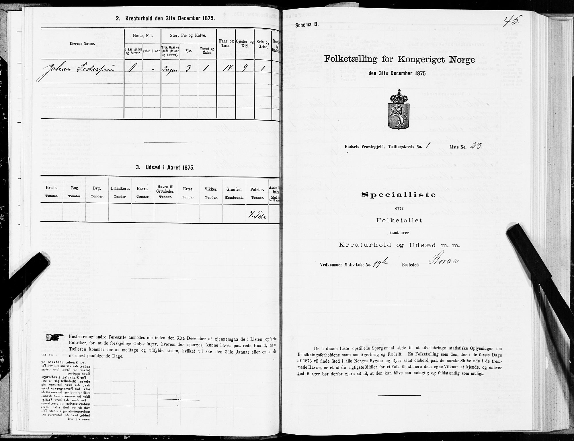 SAT, Folketelling 1875 for 1866P Hadsel prestegjeld, 1875, s. 1045