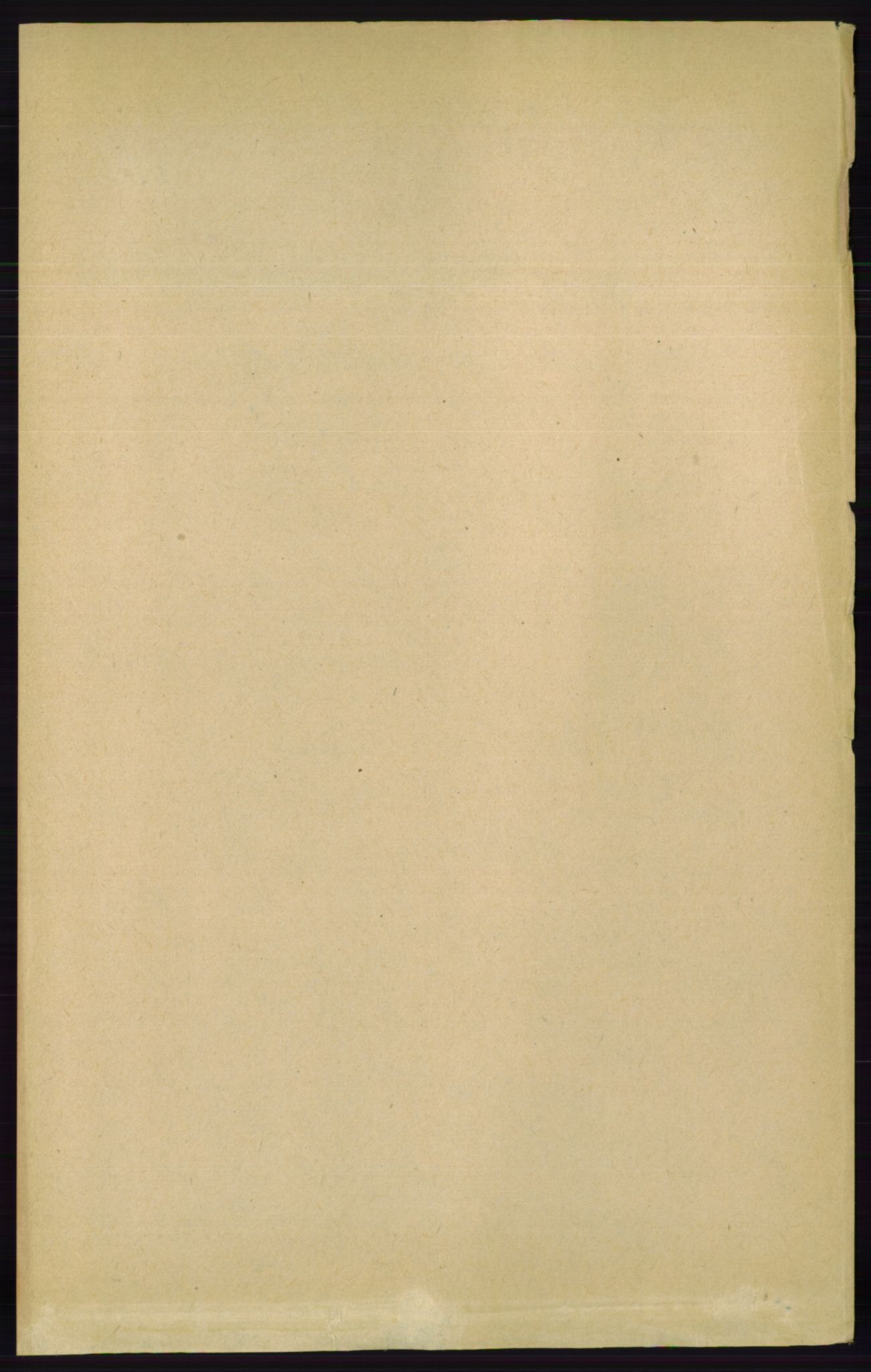 RA, Folketelling 1891 for 0915 Dypvåg herred, 1891, s. 4301