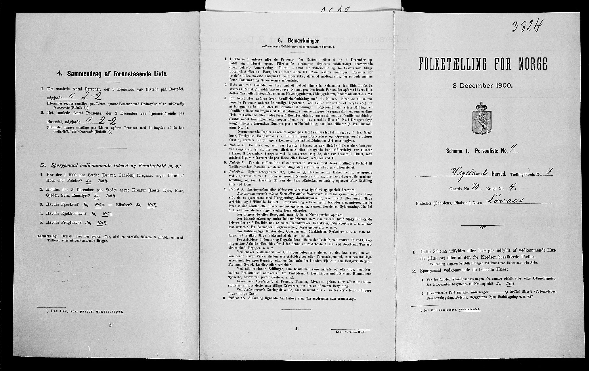 SAK, Folketelling 1900 for 1015 Hægeland herred, 1900, s. 196