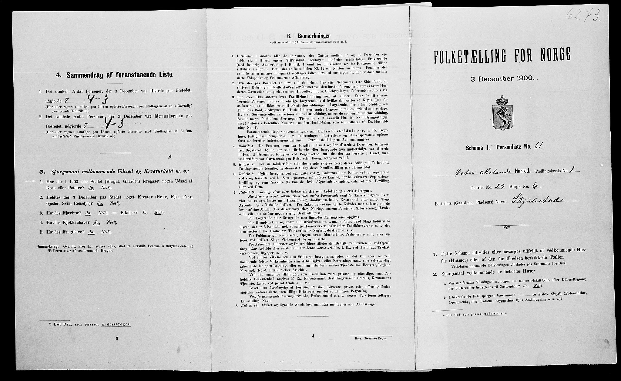 SAK, Folketelling 1900 for 0918 Austre Moland herred, 1900, s. 196