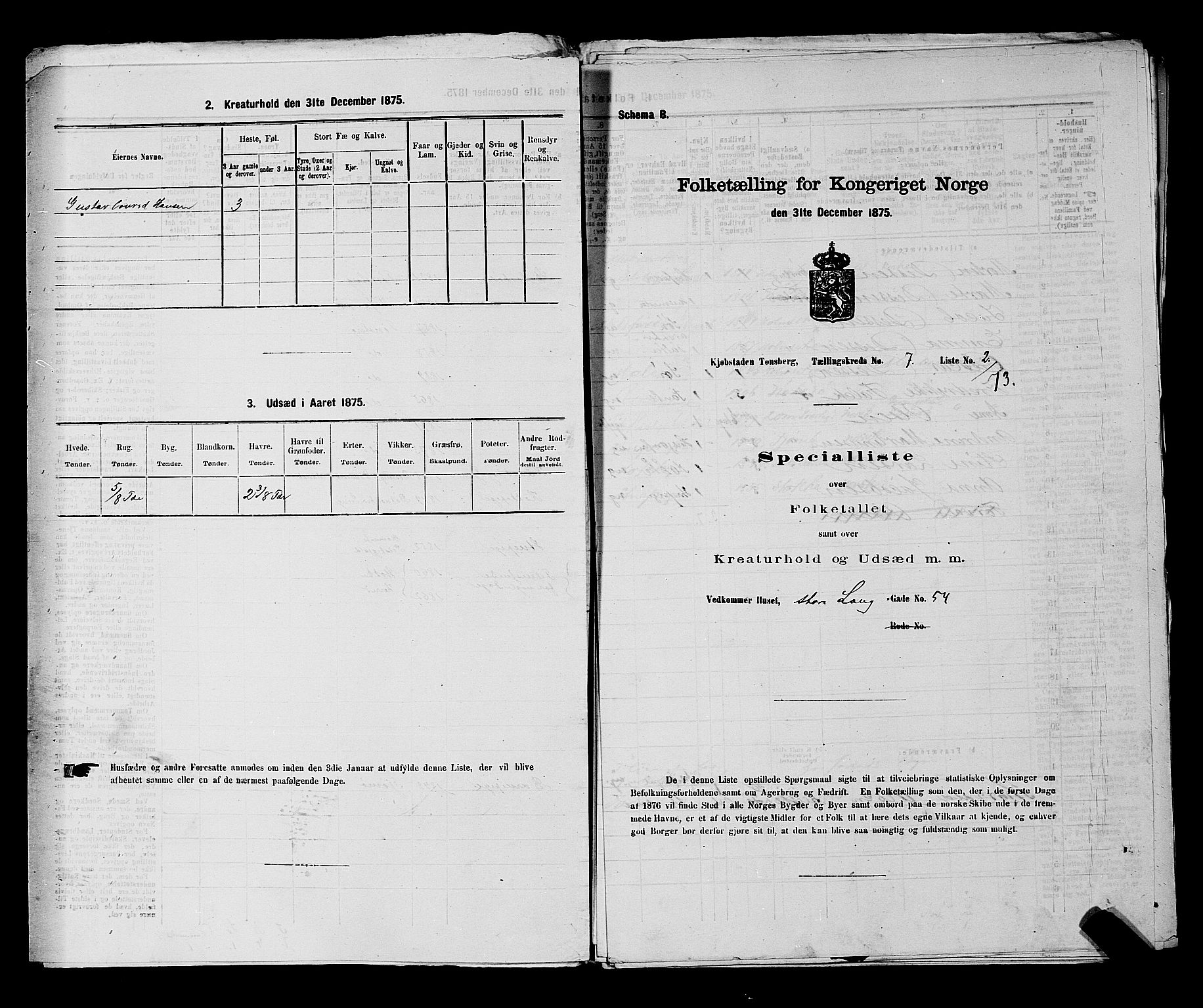 SAKO, Folketelling 1875 for 0705P Tønsberg prestegjeld, 1875, s. 195