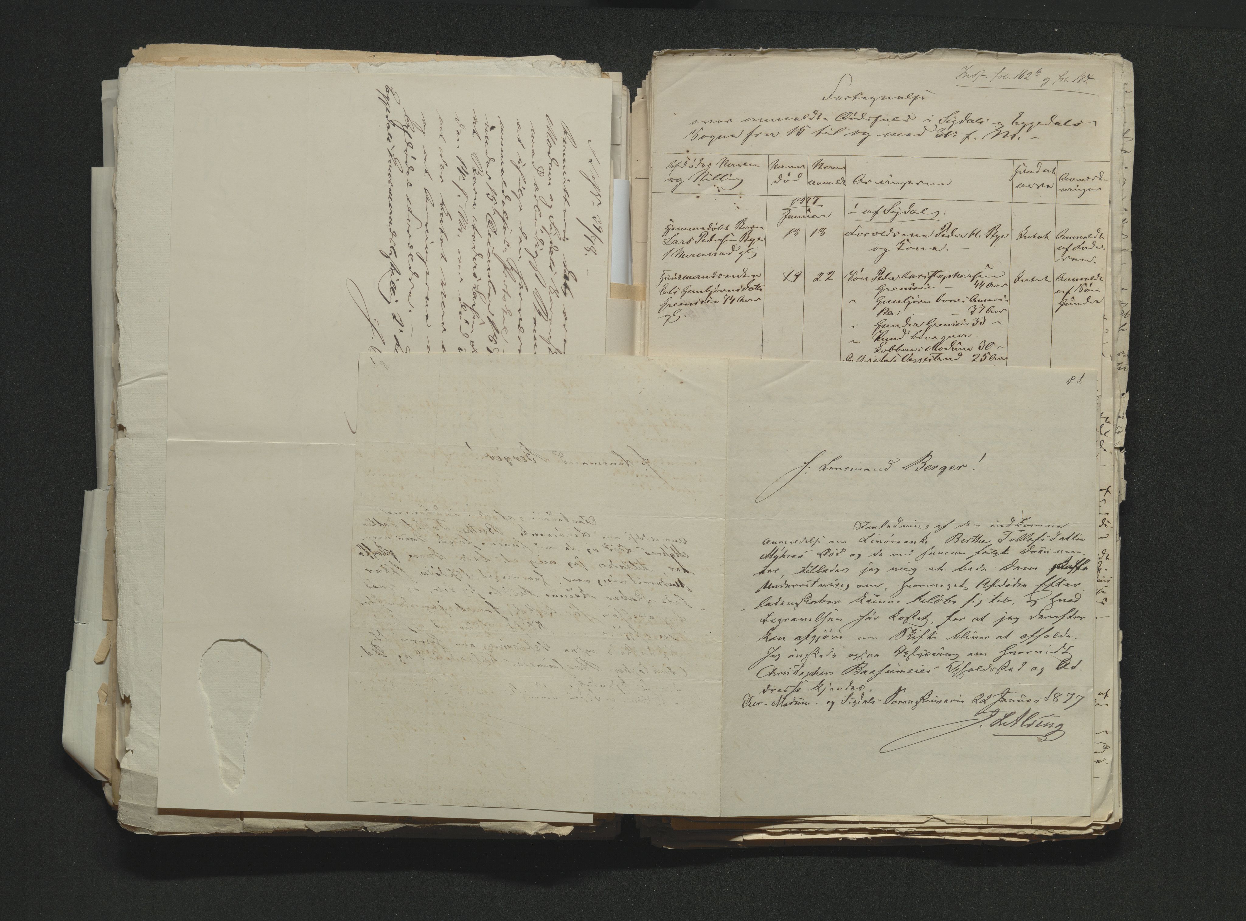 Eiker, Modum og Sigdal sorenskriveri, AV/SAKO-A-123/H/Ha/Hab/L0014: Dødsfallsmeldinger, 1874-1877, s. 693