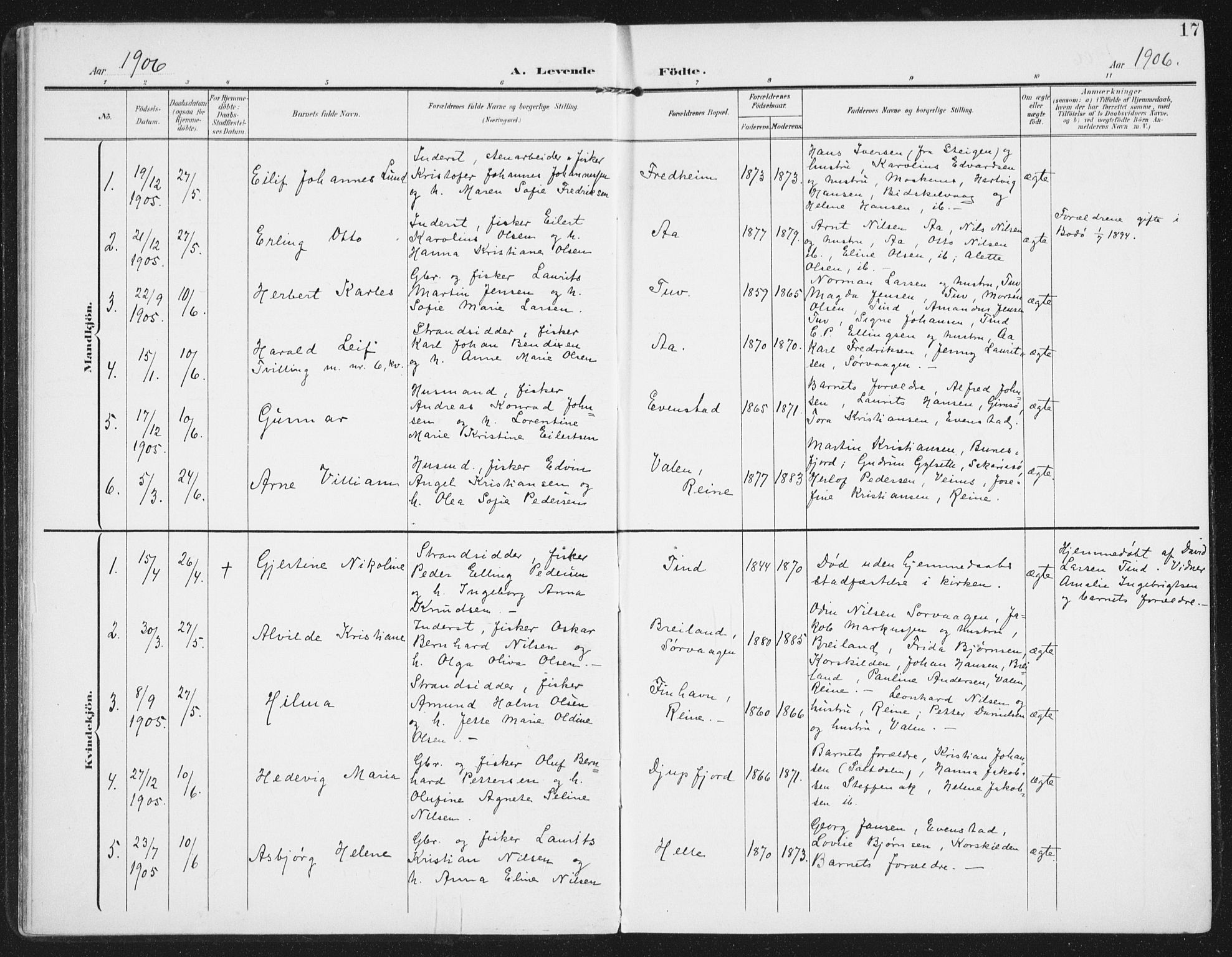 Ministerialprotokoller, klokkerbøker og fødselsregistre - Nordland, AV/SAT-A-1459/886/L1221: Ministerialbok nr. 886A03, 1903-1913, s. 17