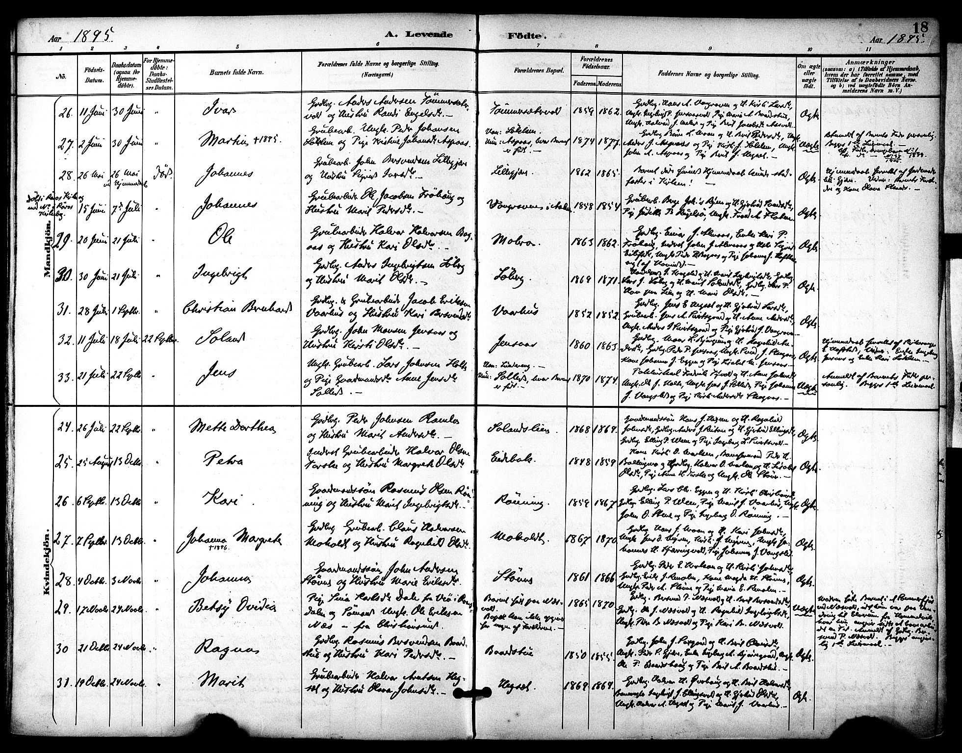 Ministerialprotokoller, klokkerbøker og fødselsregistre - Sør-Trøndelag, AV/SAT-A-1456/686/L0984: Ministerialbok nr. 686A02, 1891-1906, s. 18