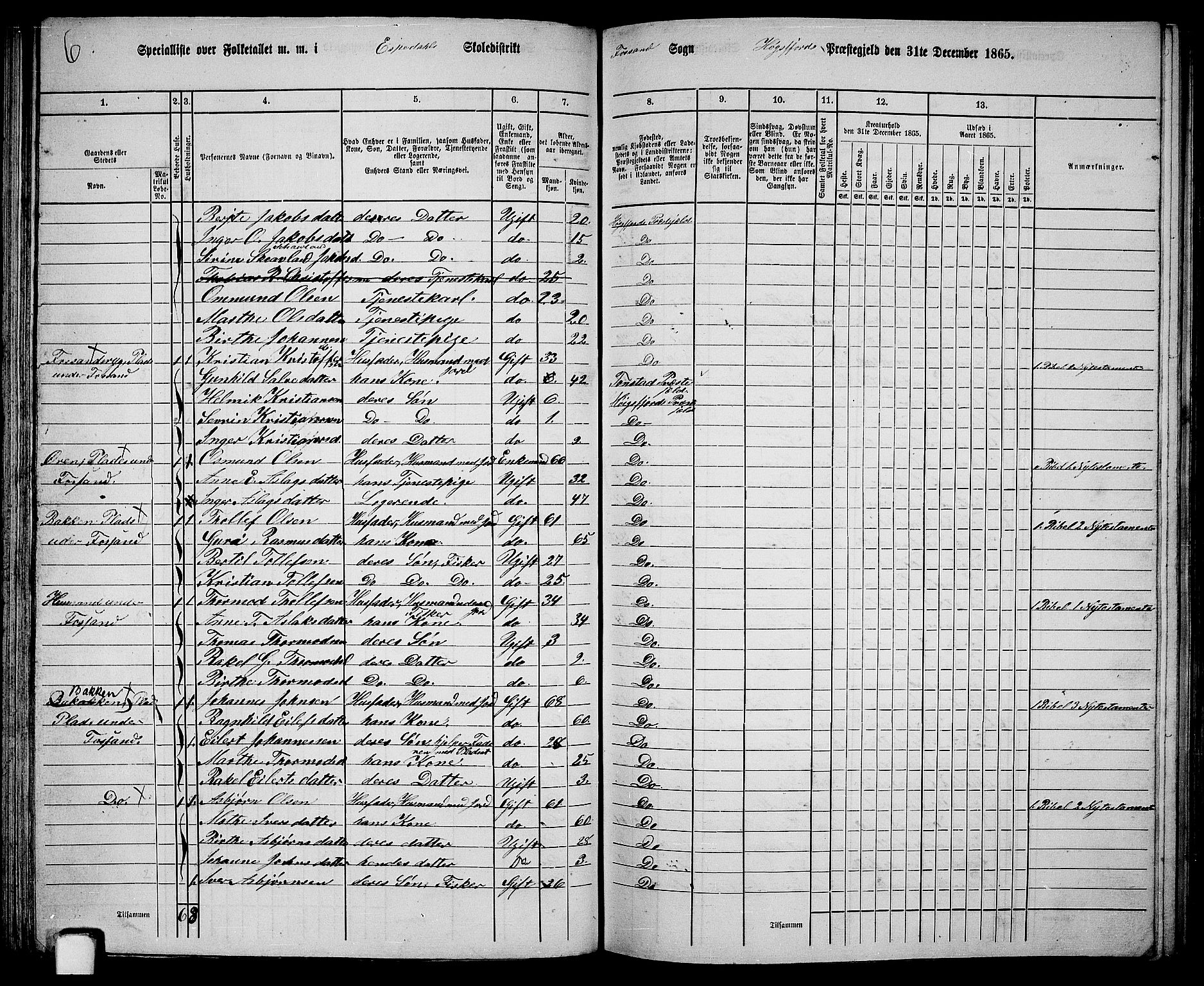 RA, Folketelling 1865 for 1128P Høgsfjord prestegjeld, 1865, s. 53