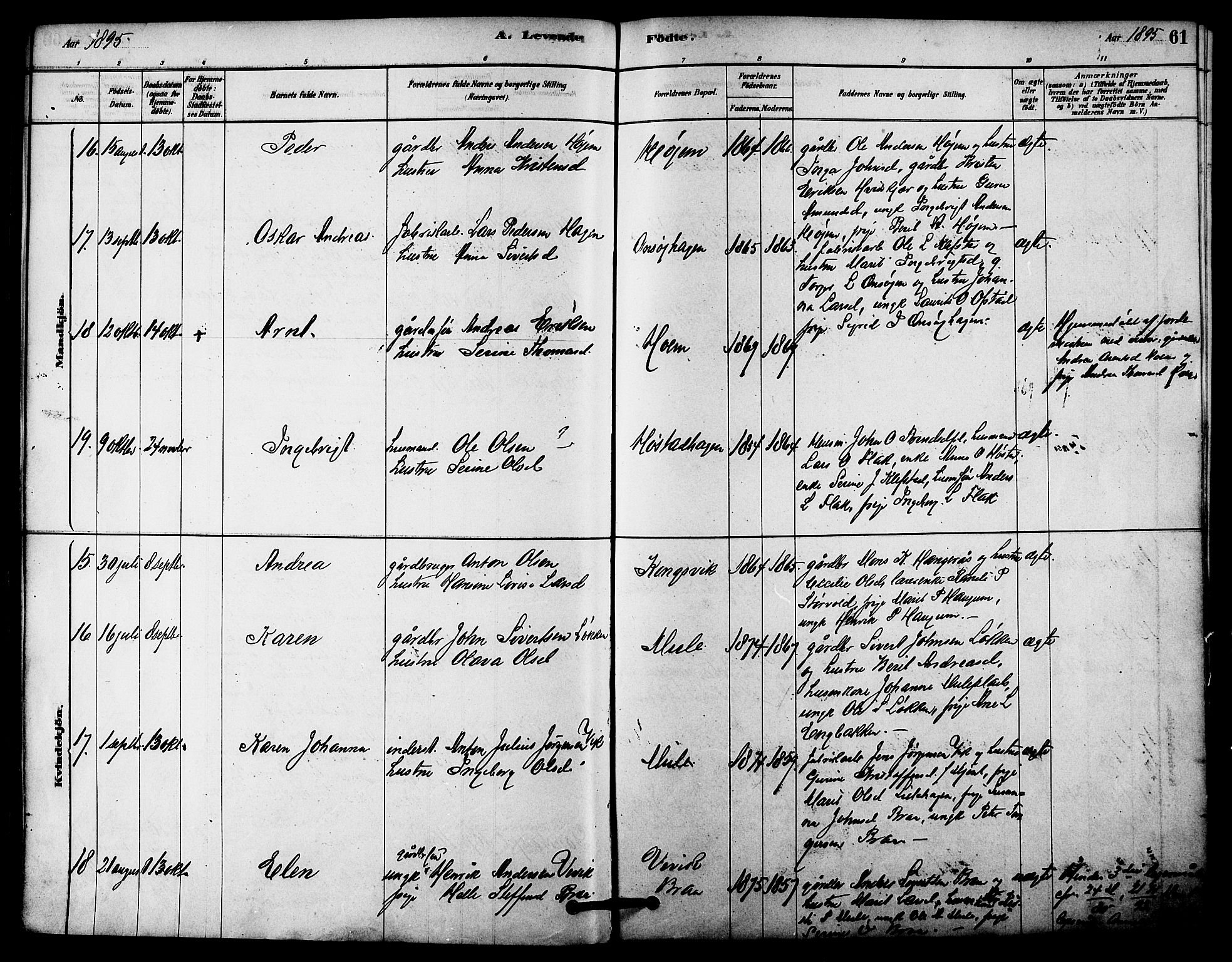 Ministerialprotokoller, klokkerbøker og fødselsregistre - Sør-Trøndelag, SAT/A-1456/612/L0378: Ministerialbok nr. 612A10, 1878-1897, s. 61