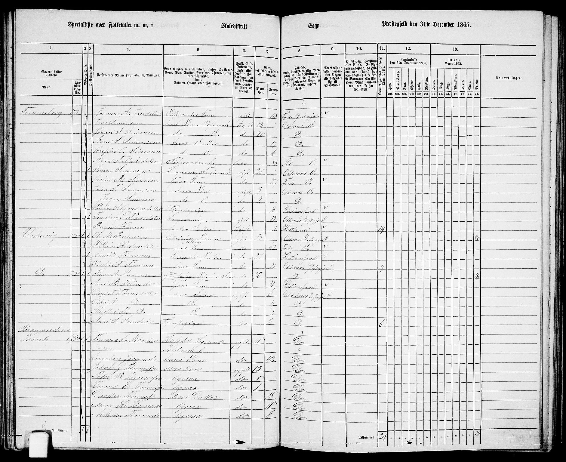 RA, Folketelling 1865 for 1012P Oddernes prestegjeld, 1865, s. 97