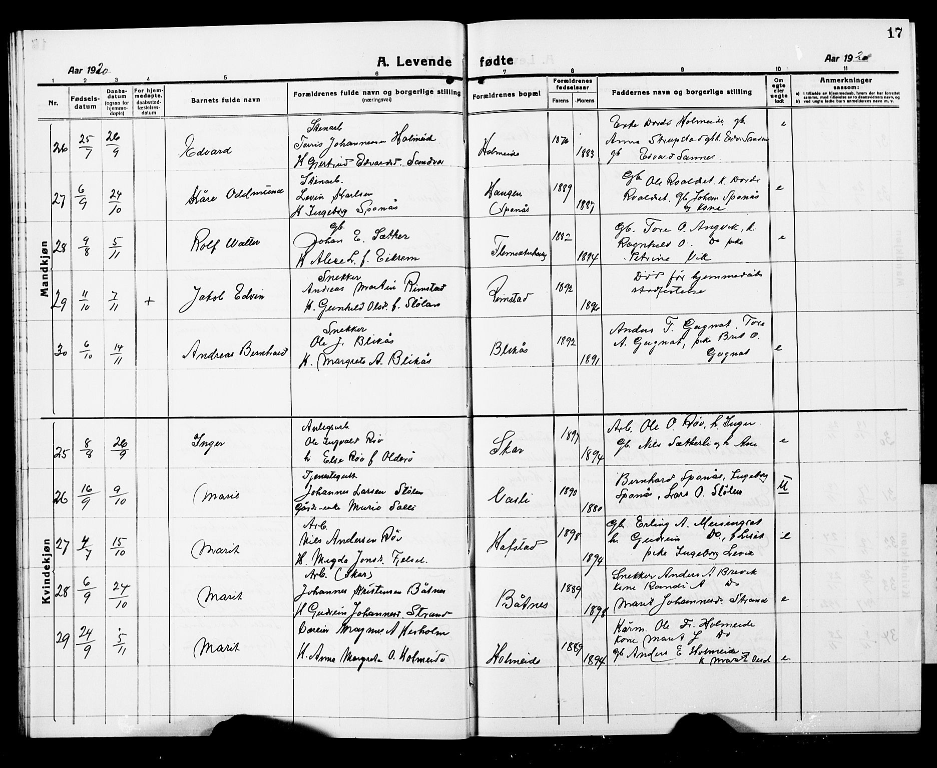 Ministerialprotokoller, klokkerbøker og fødselsregistre - Møre og Romsdal, AV/SAT-A-1454/586/L0994: Klokkerbok nr. 586C05, 1919-1927, s. 17