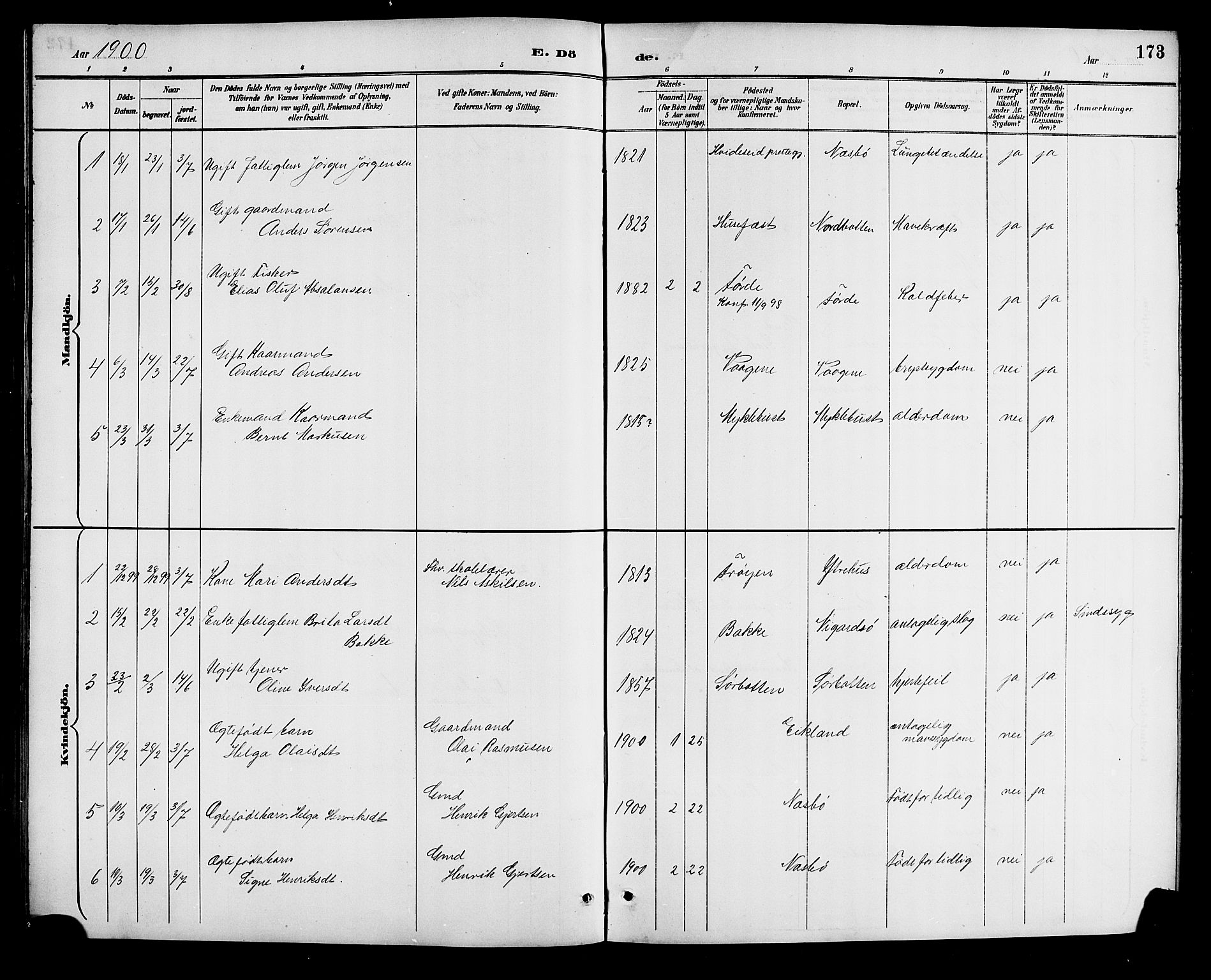 Bremanger sokneprestembete, AV/SAB-A-82201/H/Hab/Haba/L0003: Klokkerbok nr. A 3, 1890-1908, s. 173