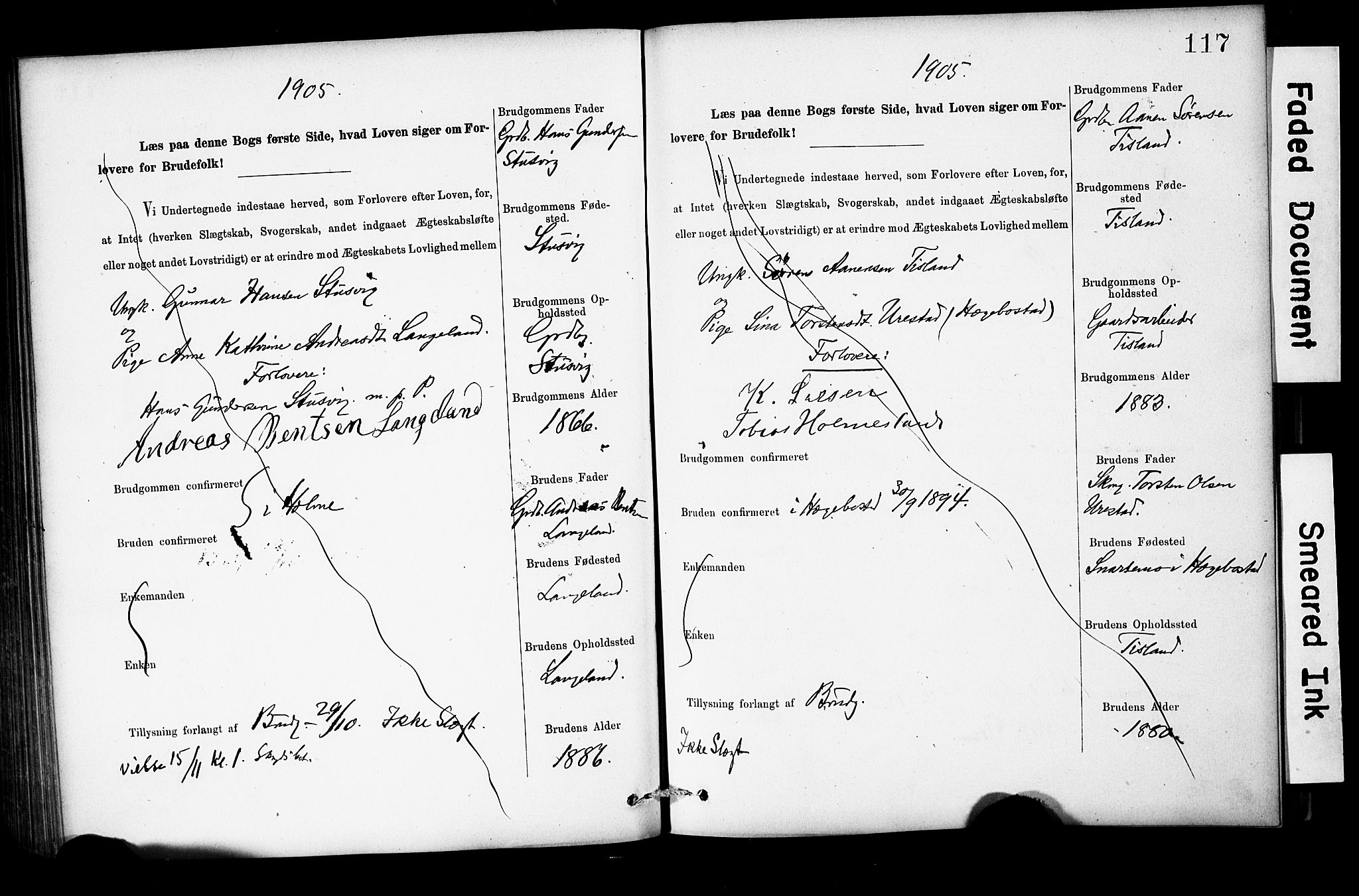 Holum sokneprestkontor, AV/SAK-1111-0022/F/Fe/L0004: Lysningsprotokoll nr. II 5 4, 1890-1914, s. 117