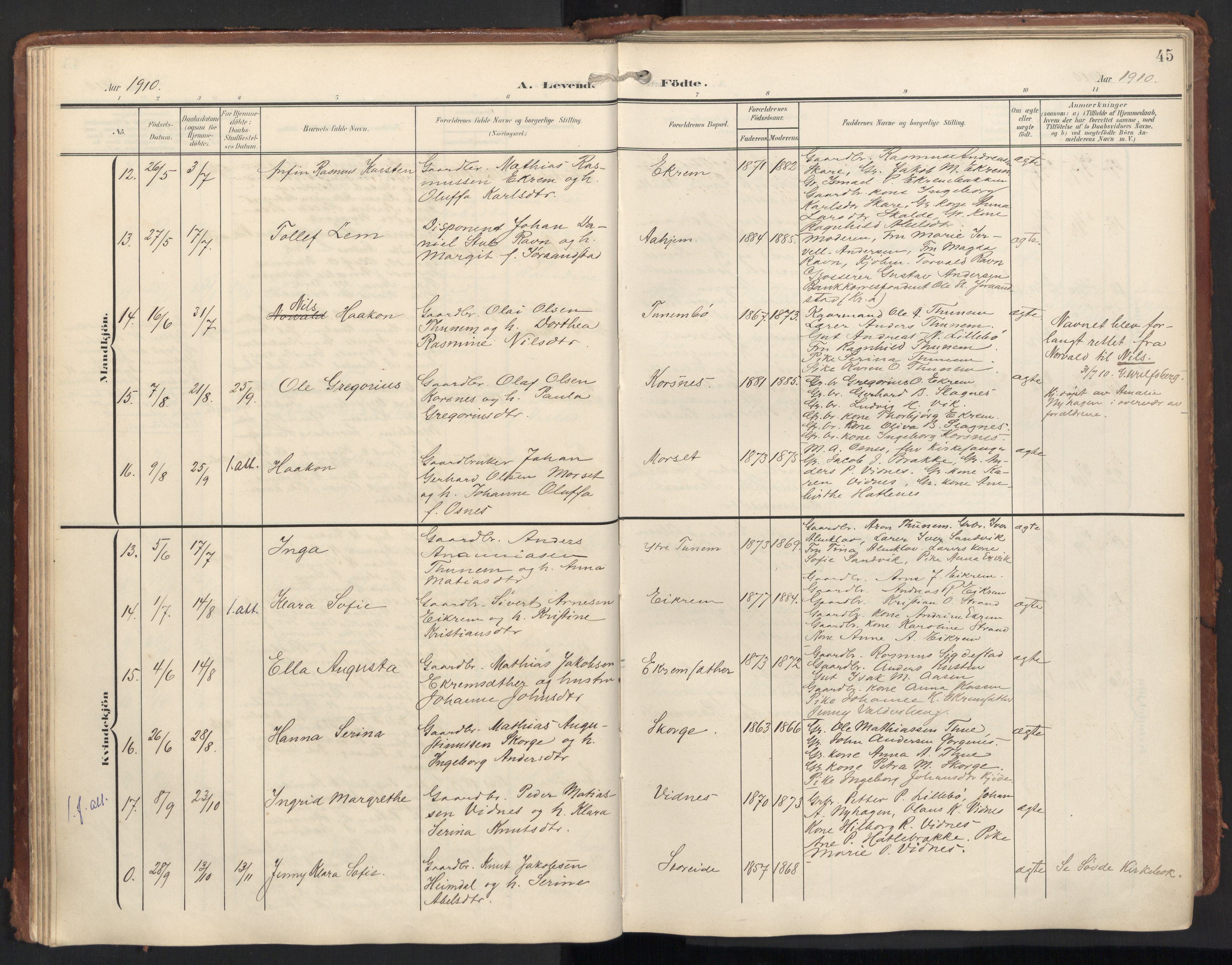 Ministerialprotokoller, klokkerbøker og fødselsregistre - Møre og Romsdal, AV/SAT-A-1454/501/L0011: Ministerialbok nr. 501A11, 1902-1919, s. 45