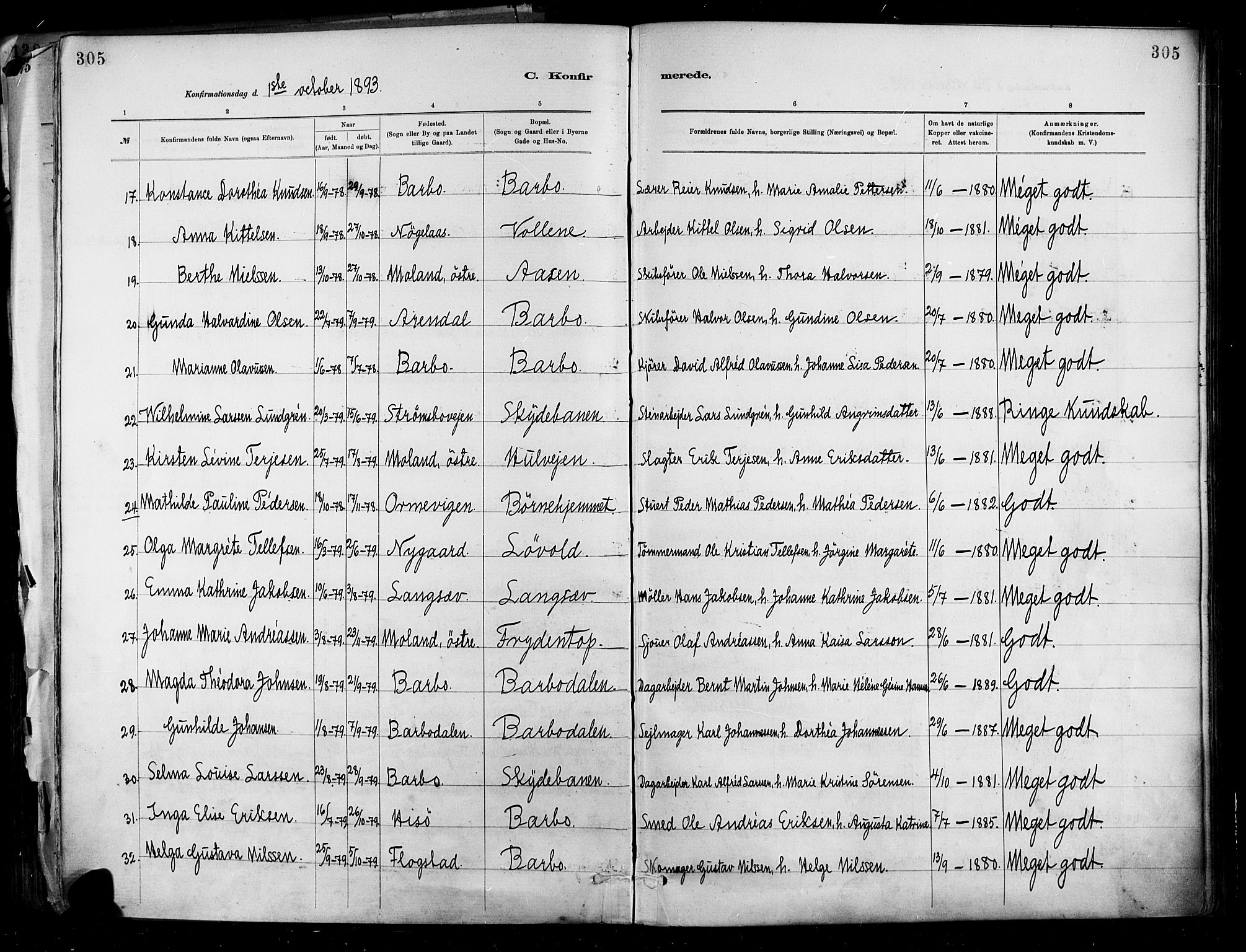 Barbu sokneprestkontor, AV/SAK-1111-0003/F/Fa/L0002: Ministerialbok nr. A 2, 1883-1898, s. 305
