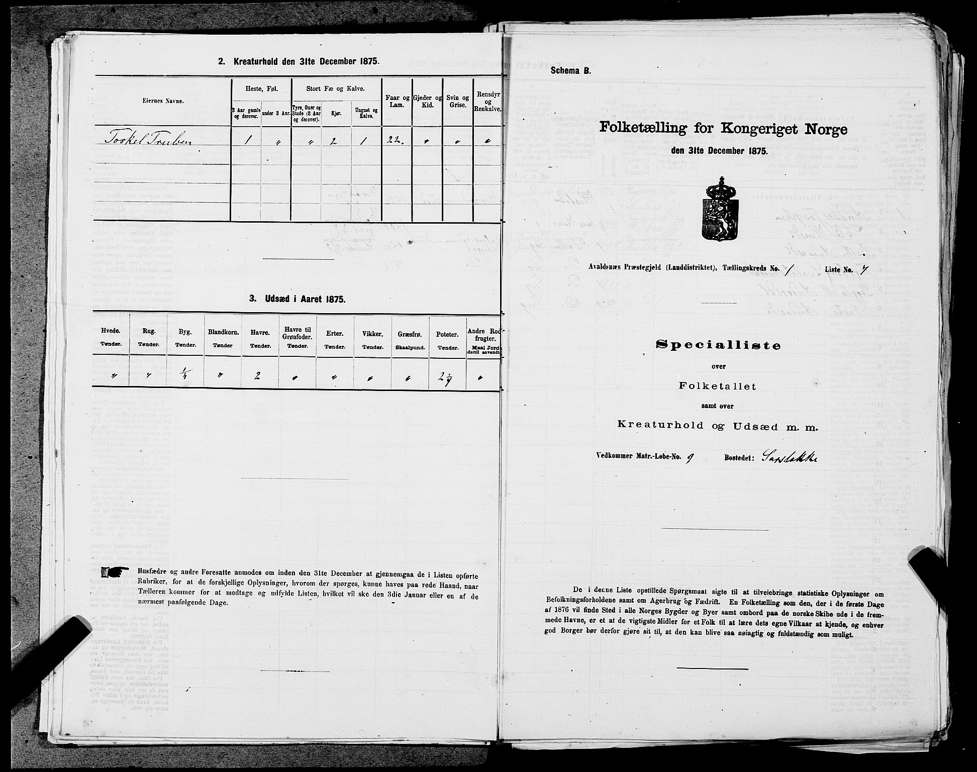 SAST, Folketelling 1875 for 1147L Avaldsnes prestegjeld, Avaldsnes sokn og Kopervik landsokn, 1875, s. 80