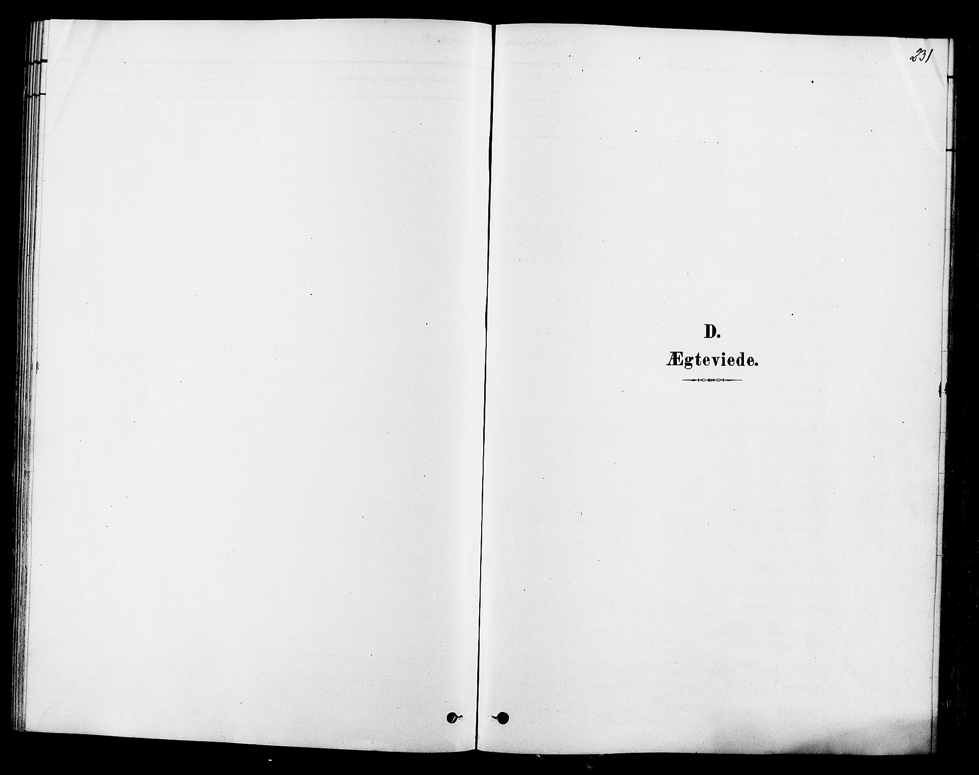 Ringsaker prestekontor, SAH/PREST-014/L/La/L0009: Klokkerbok nr. 9, 1879-1890, s. 231