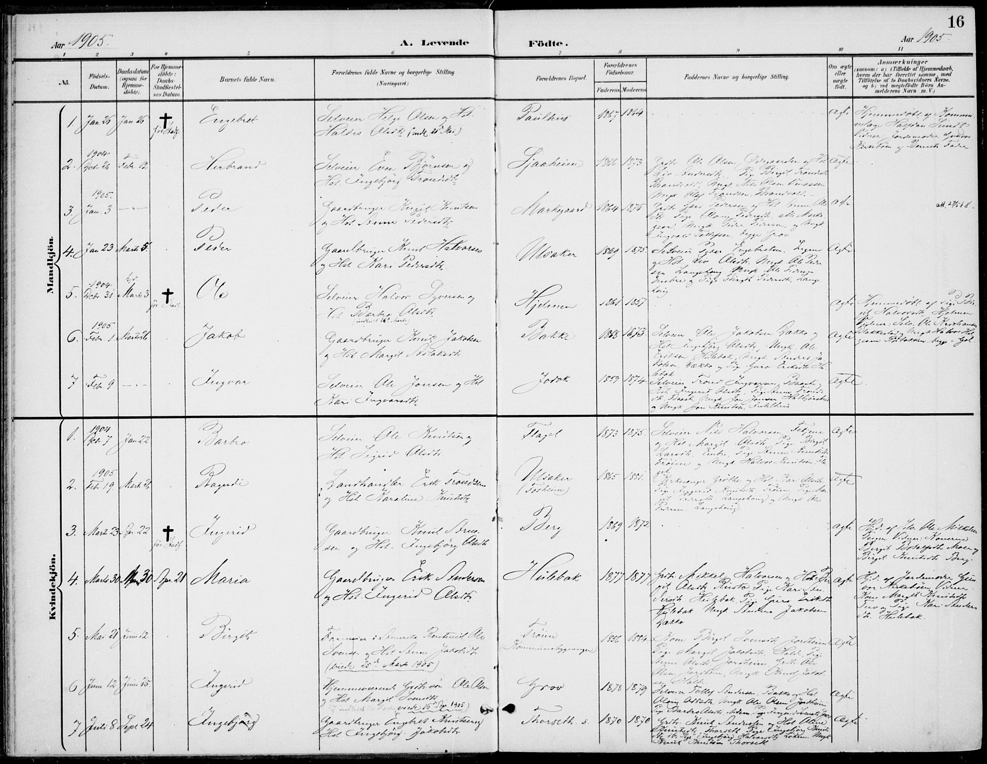 Gol kirkebøker, AV/SAKO-A-226/F/Fb/L0002: Ministerialbok nr. II 2, 1900-1921, s. 16