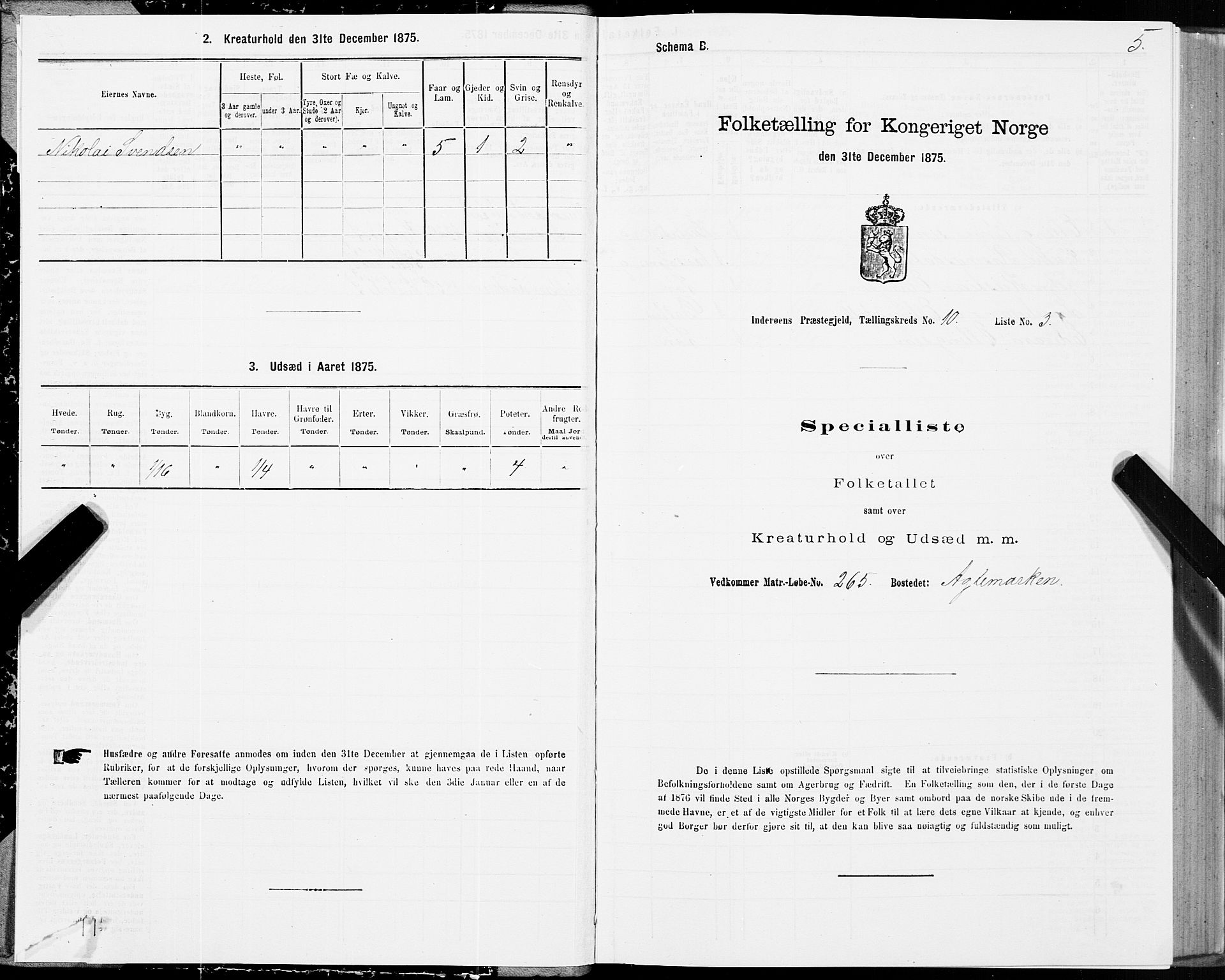 SAT, Folketelling 1875 for 1729P Inderøy prestegjeld, 1875, s. 6005