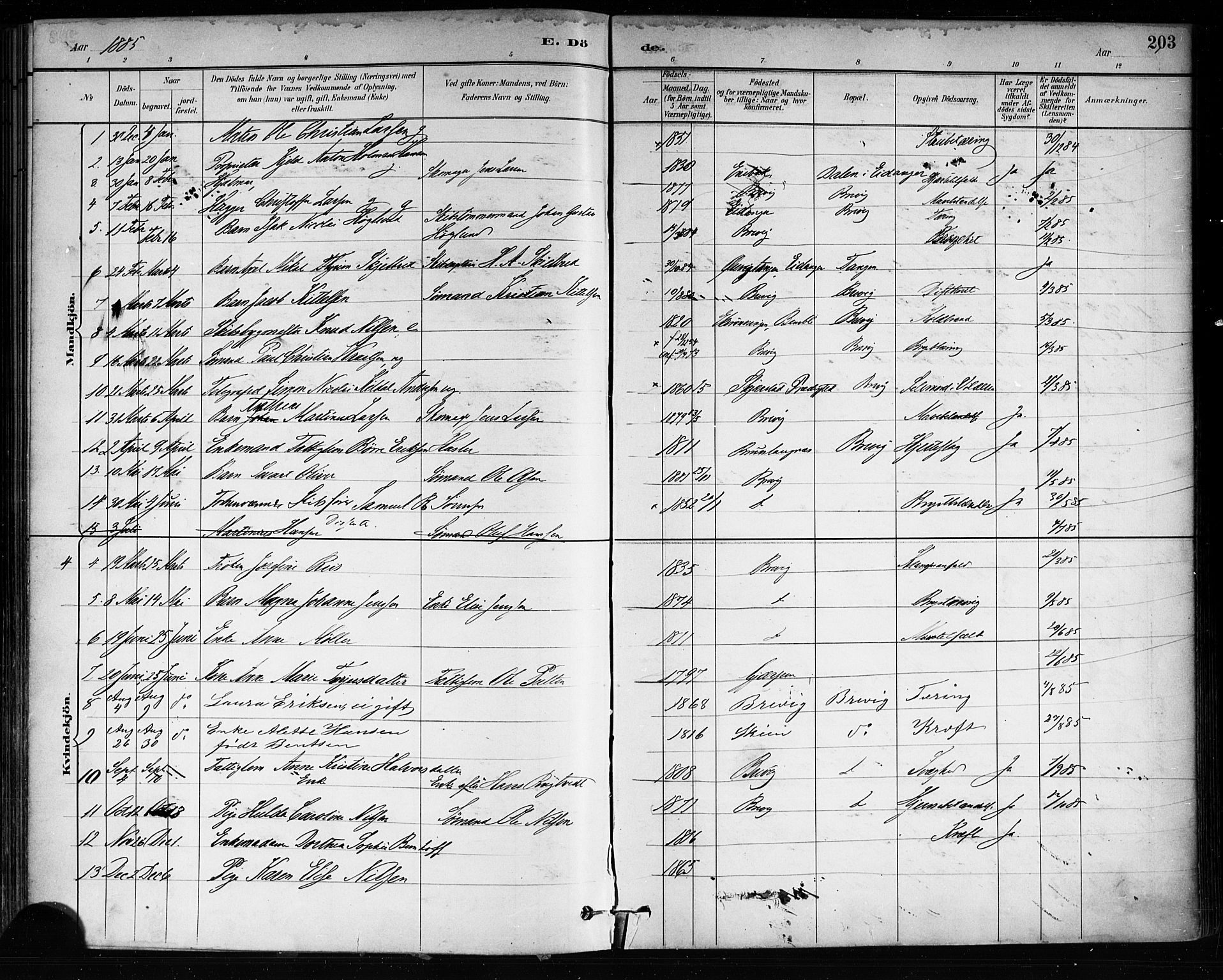Brevik kirkebøker, AV/SAKO-A-255/F/Fa/L0007: Ministerialbok nr. 7, 1882-1900, s. 203