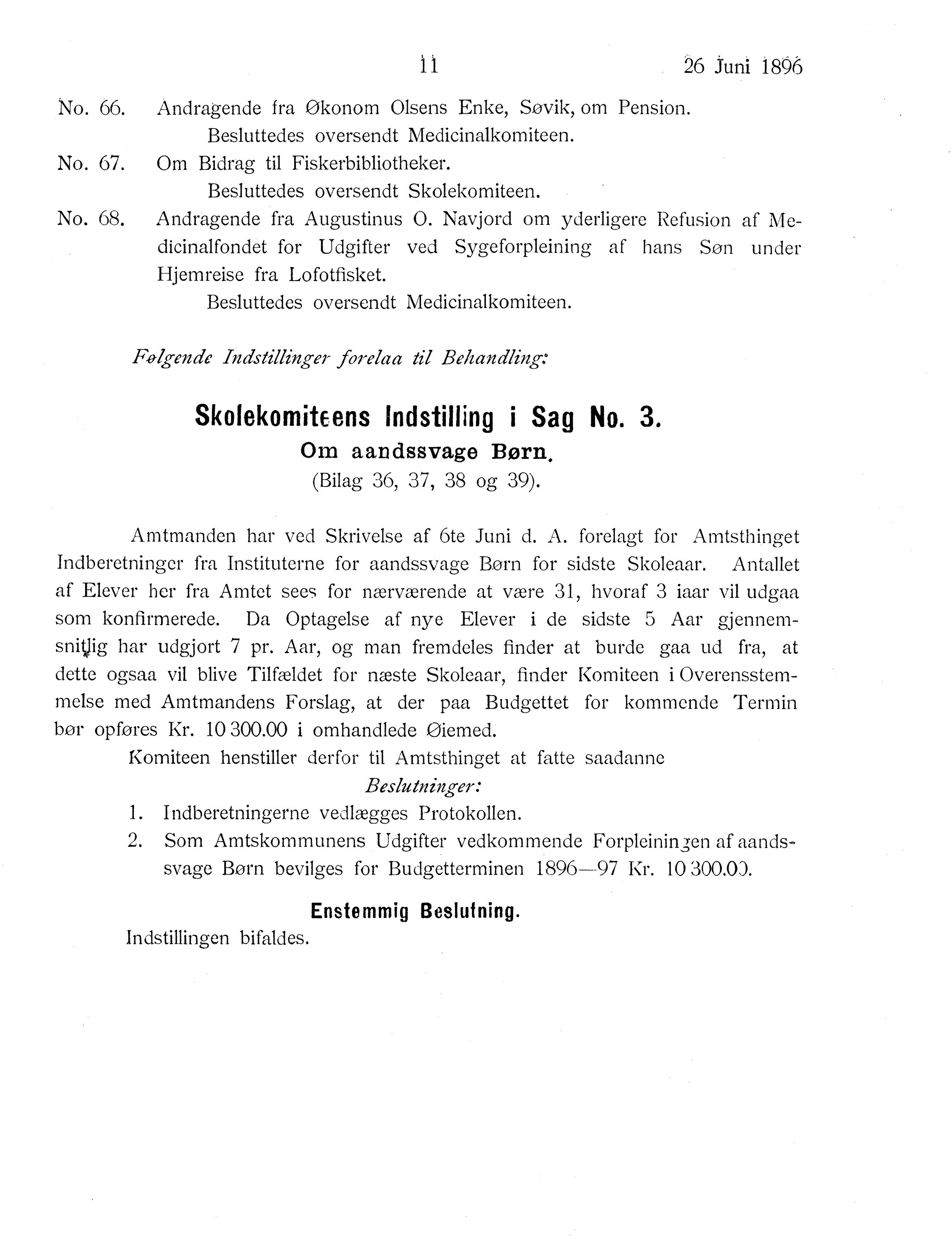 Nordland Fylkeskommune. Fylkestinget, AIN/NFK-17/176/A/Ac/L0019: Fylkestingsforhandlinger 1896, 1896