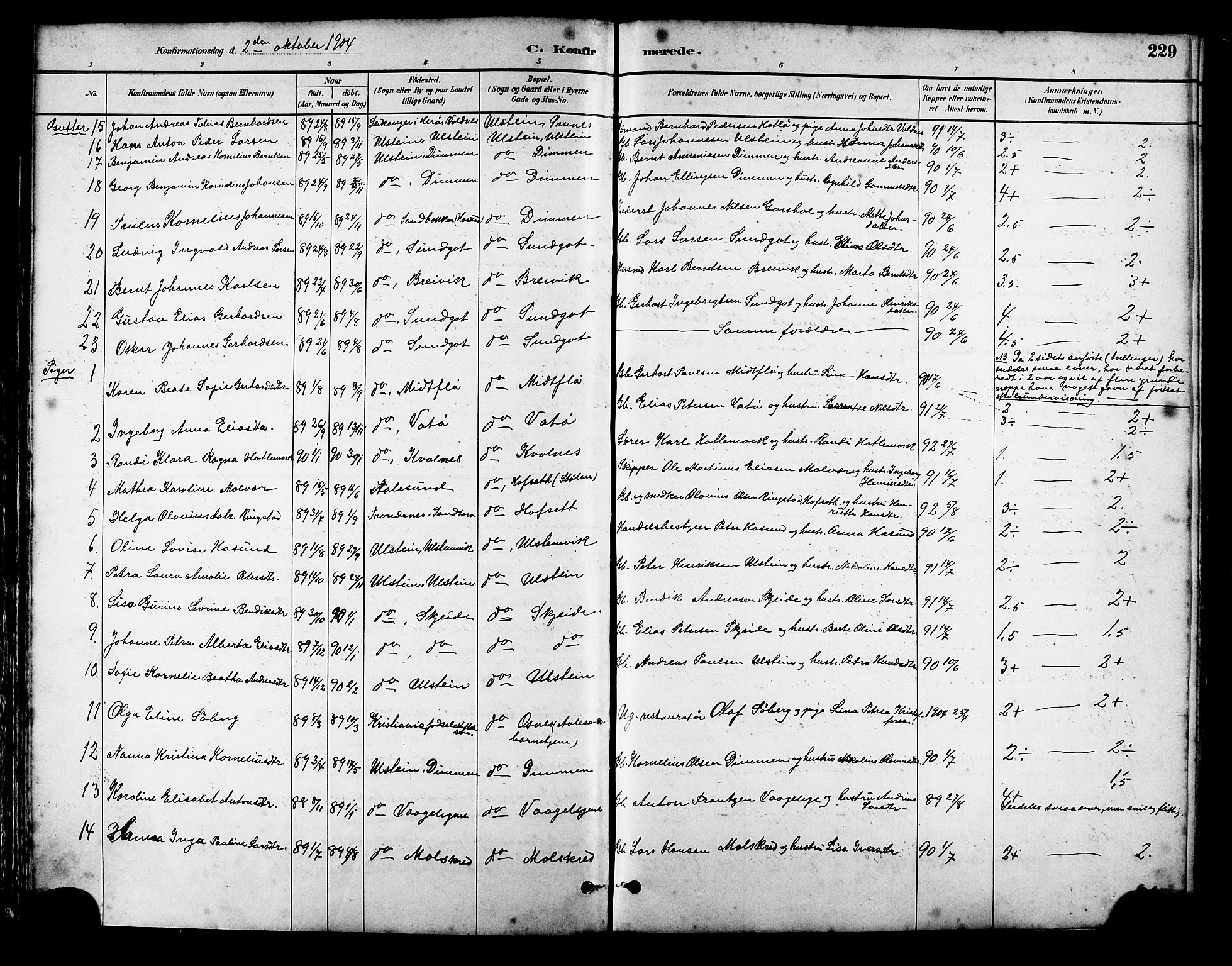 Ministerialprotokoller, klokkerbøker og fødselsregistre - Møre og Romsdal, SAT/A-1454/509/L0112: Klokkerbok nr. 509C02, 1883-1922, s. 229