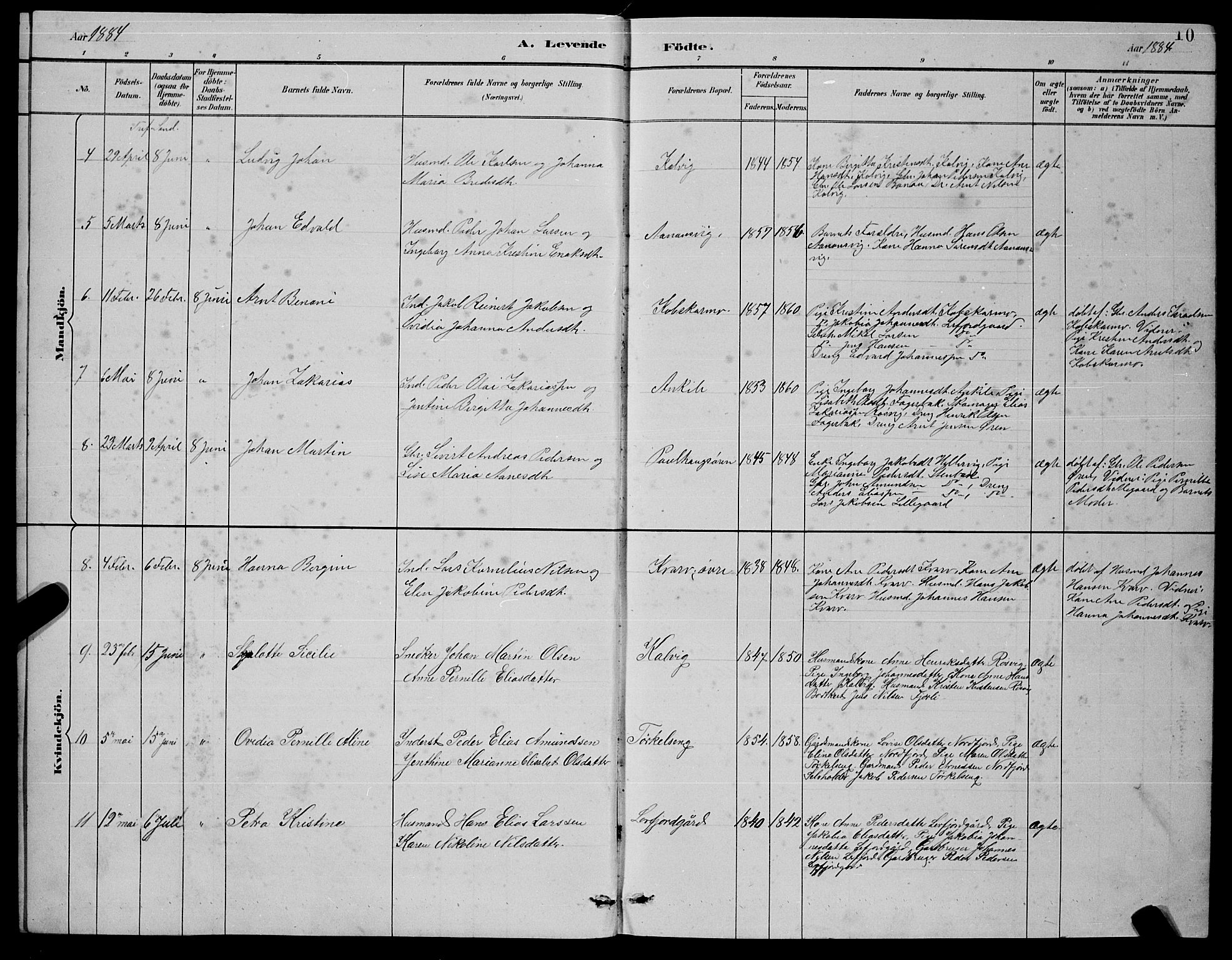 Ministerialprotokoller, klokkerbøker og fødselsregistre - Nordland, AV/SAT-A-1459/854/L0785: Klokkerbok nr. 854C01, 1883-1891, s. 10