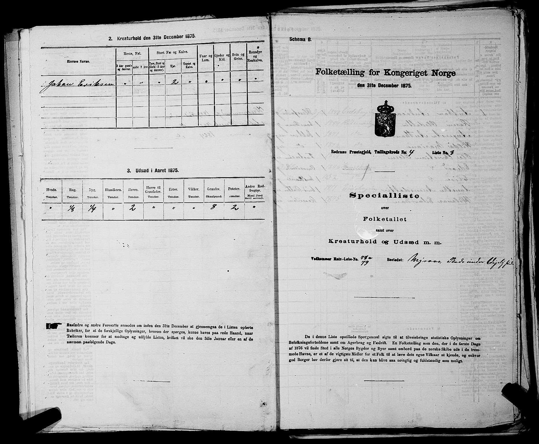 RA, Folketelling 1875 for 0120P Rødenes prestegjeld, 1875, s. 510