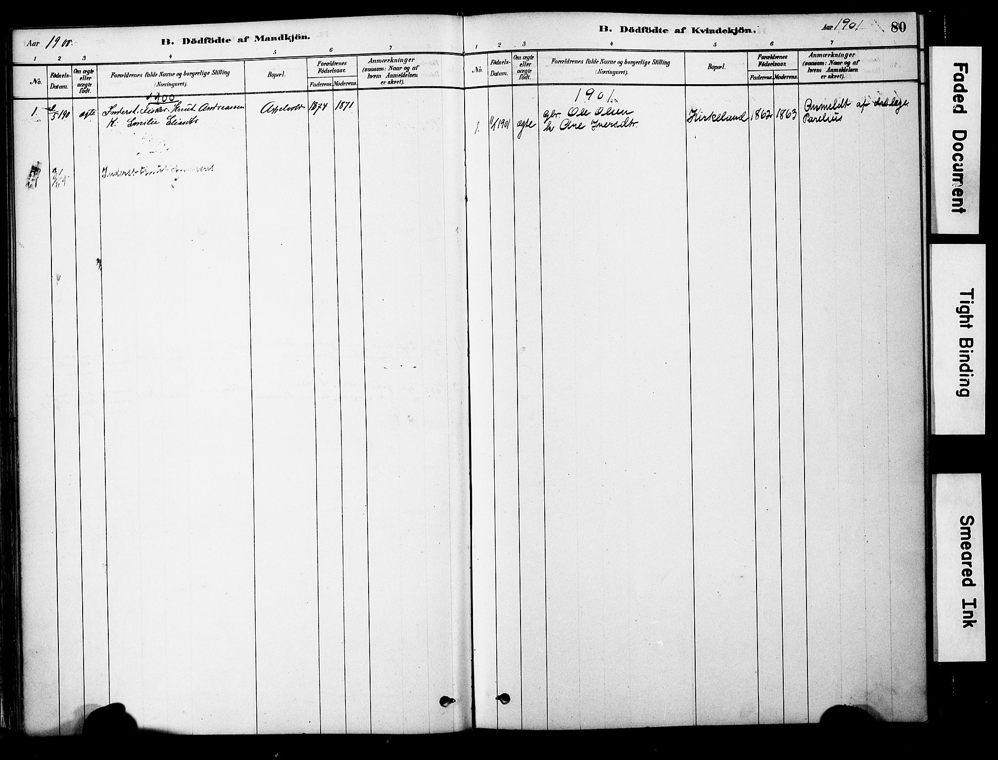 Ministerialprotokoller, klokkerbøker og fødselsregistre - Møre og Romsdal, AV/SAT-A-1454/563/L0736: Ministerialbok nr. 563A01, 1878-1903, s. 80