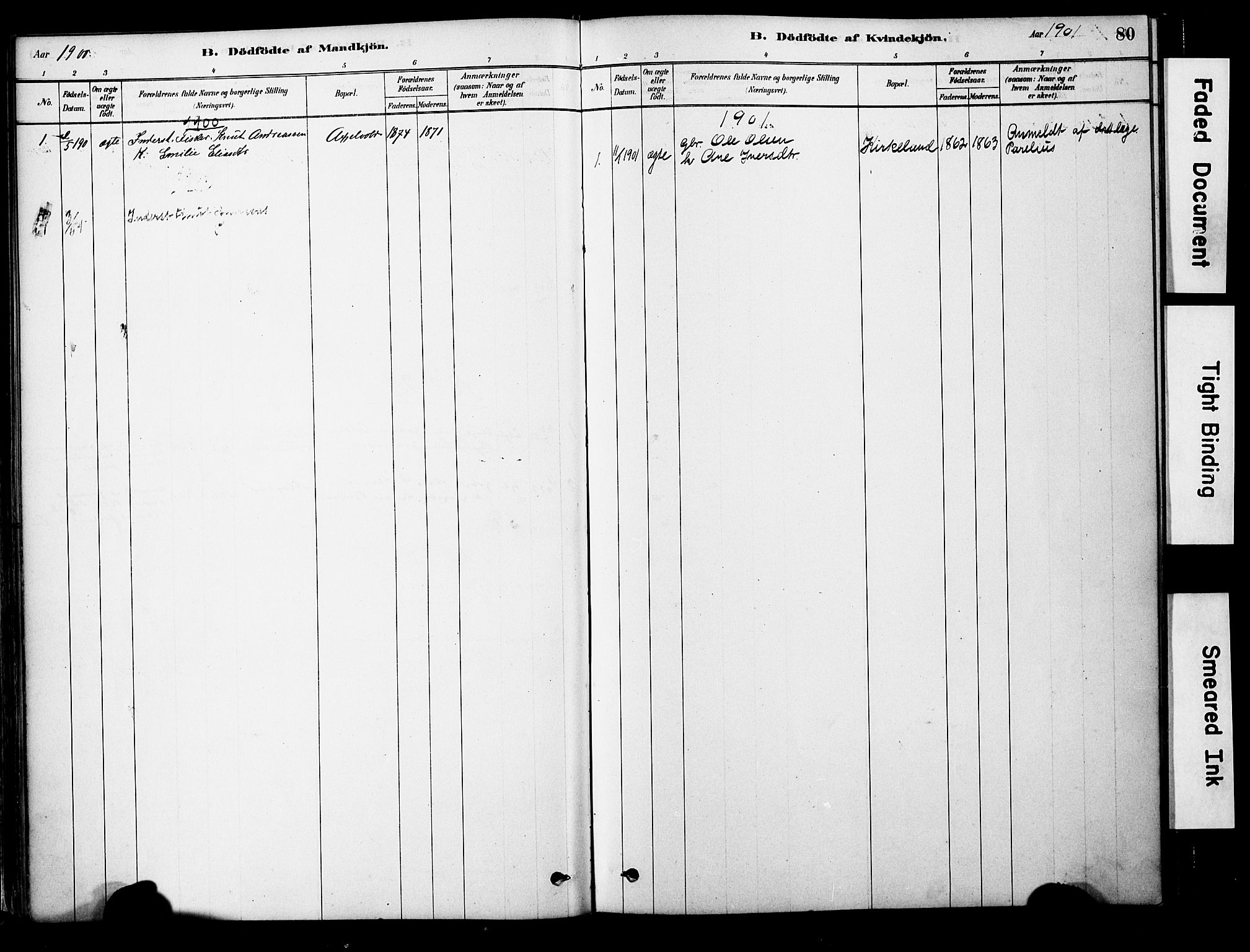 Ministerialprotokoller, klokkerbøker og fødselsregistre - Møre og Romsdal, SAT/A-1454/563/L0736: Ministerialbok nr. 563A01, 1878-1903, s. 80