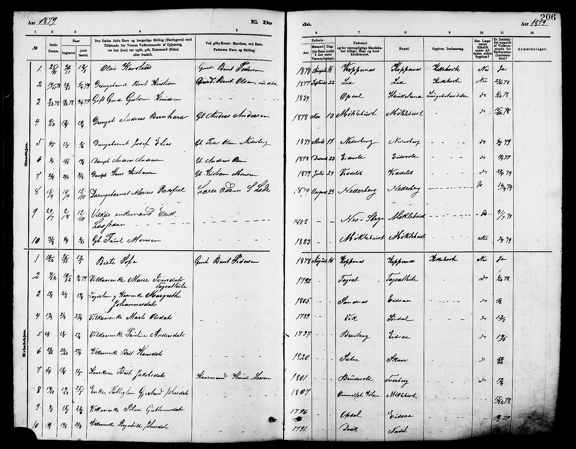 Ministerialprotokoller, klokkerbøker og fødselsregistre - Møre og Romsdal, AV/SAT-A-1454/502/L0027: Klokkerbok nr. 502C01, 1878-1908, s. 206