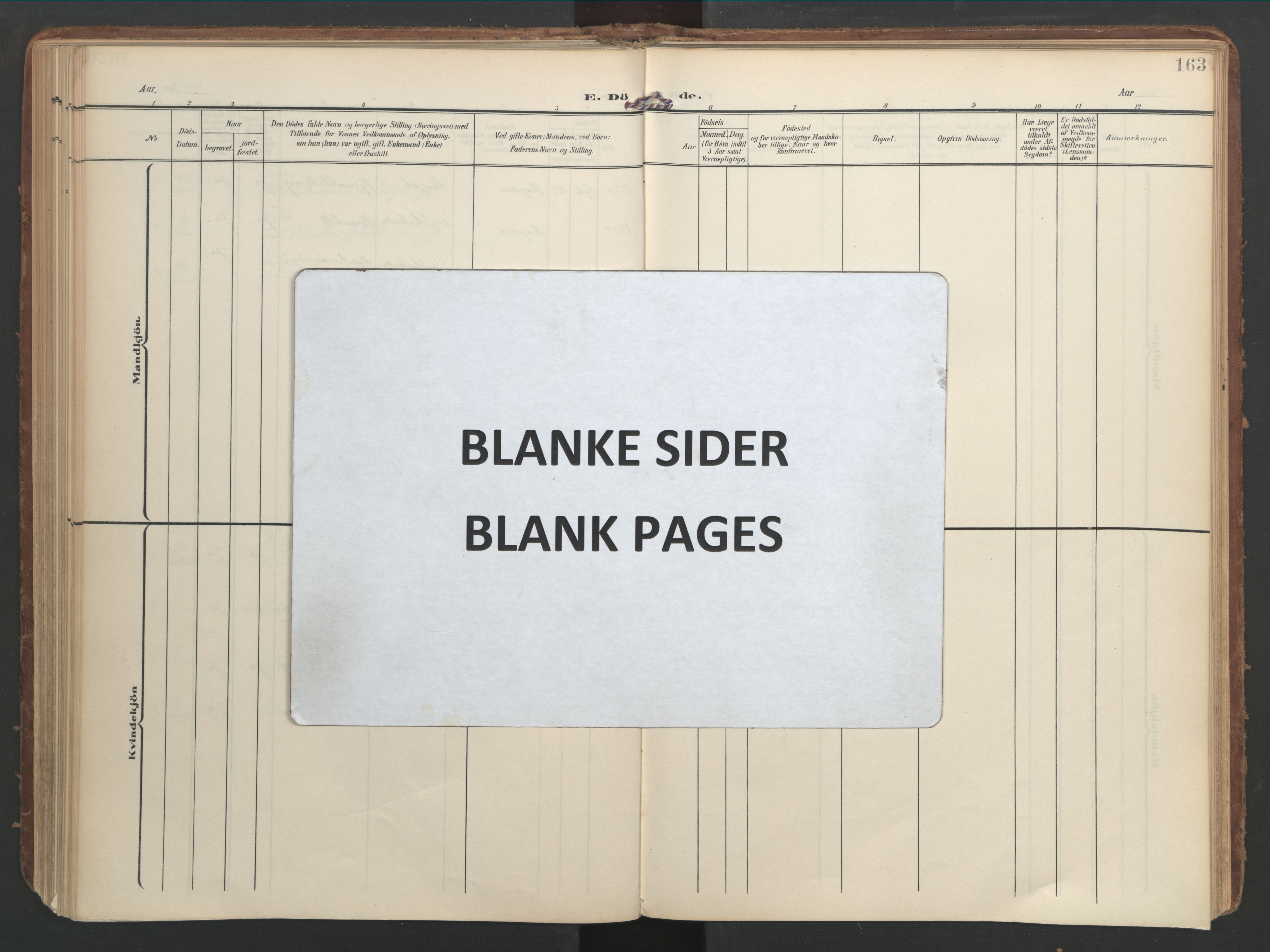 Ministerialprotokoller, klokkerbøker og fødselsregistre - Møre og Romsdal, AV/SAT-A-1454/583/L0955: Ministerialbok nr. 583A02, 1907-1926, s. 163