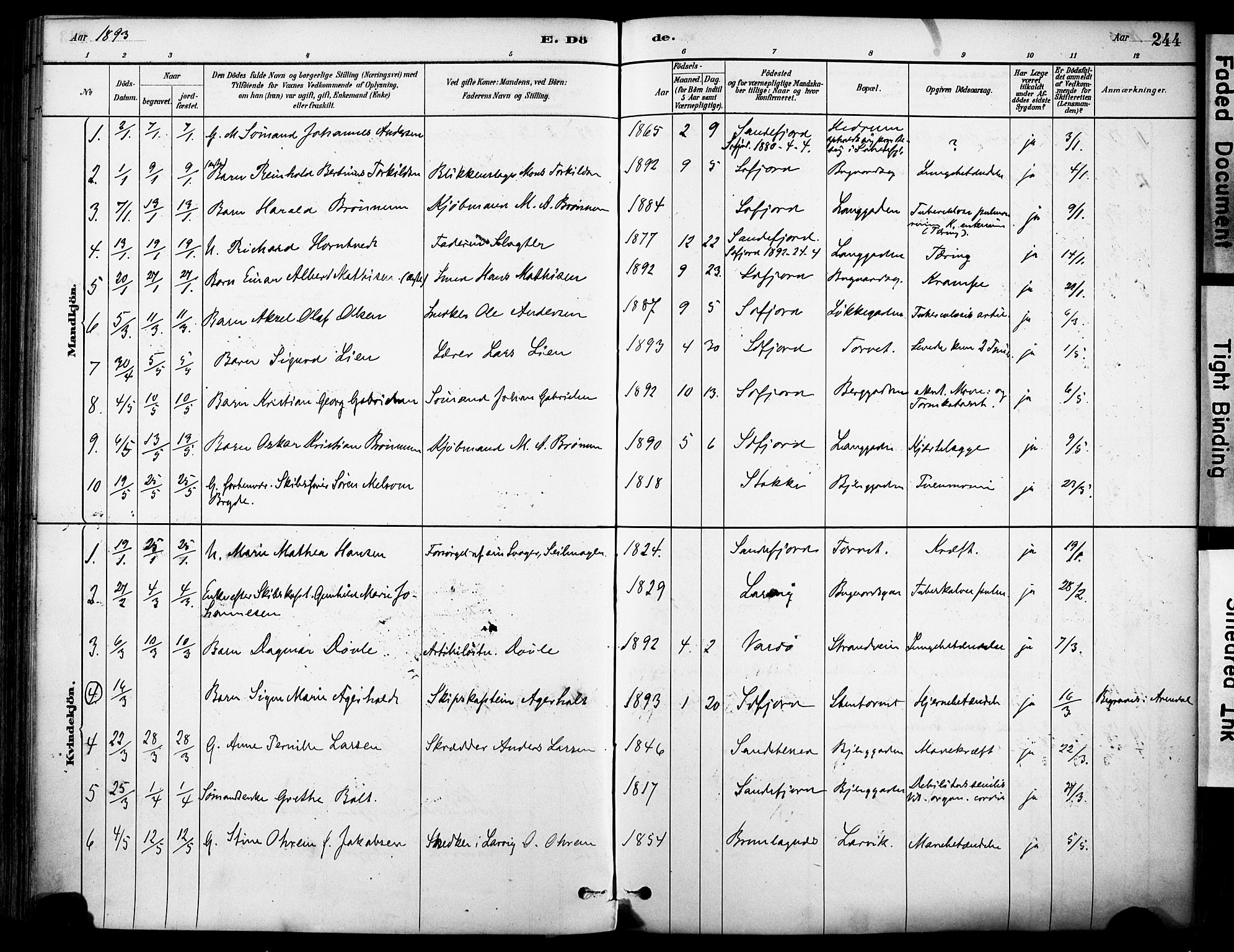 Sandefjord kirkebøker, AV/SAKO-A-315/F/Fa/L0002: Ministerialbok nr. 2, 1880-1894, s. 244