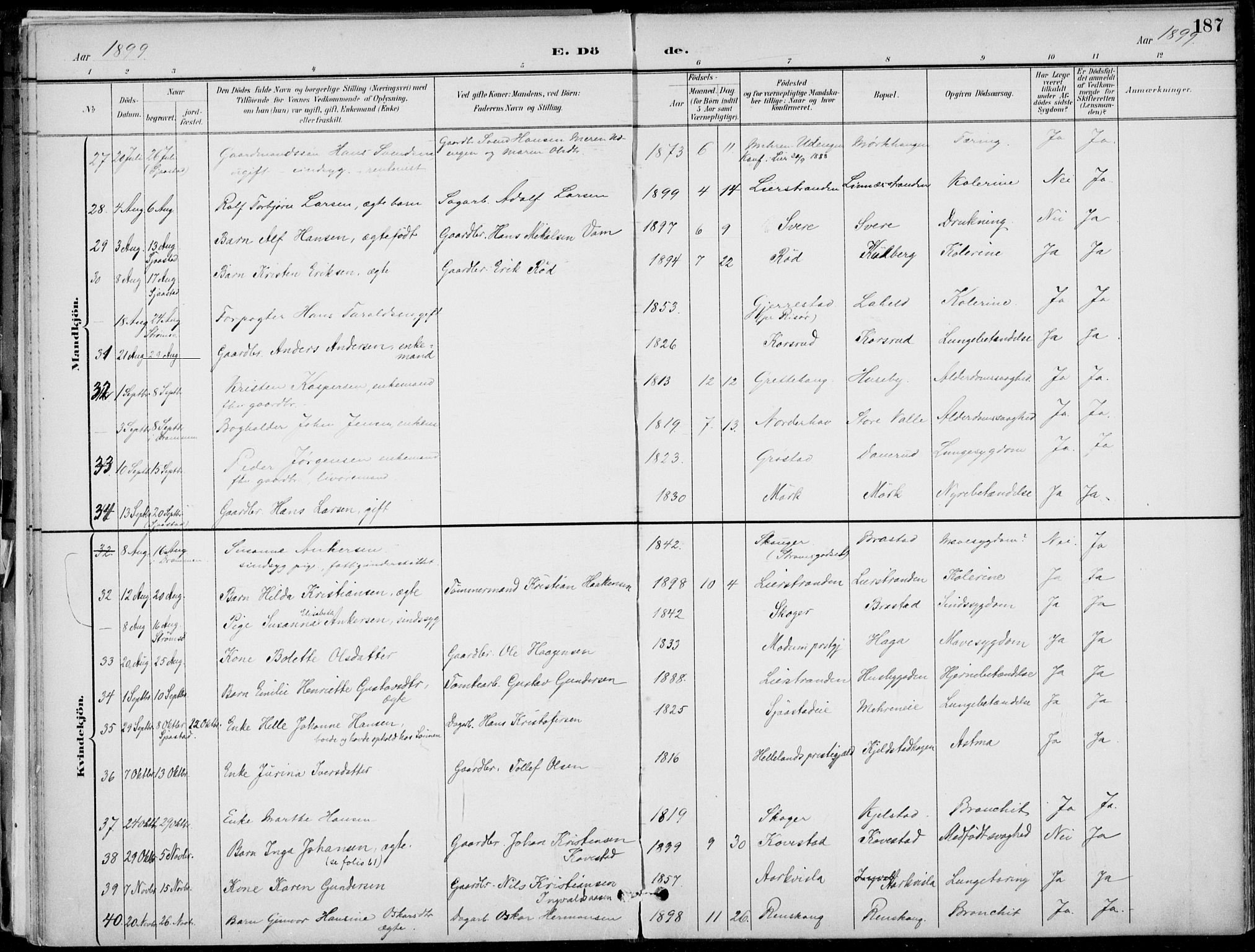 Lier kirkebøker, AV/SAKO-A-230/F/Fa/L0016: Ministerialbok nr. I 16, 1895-1900, s. 187