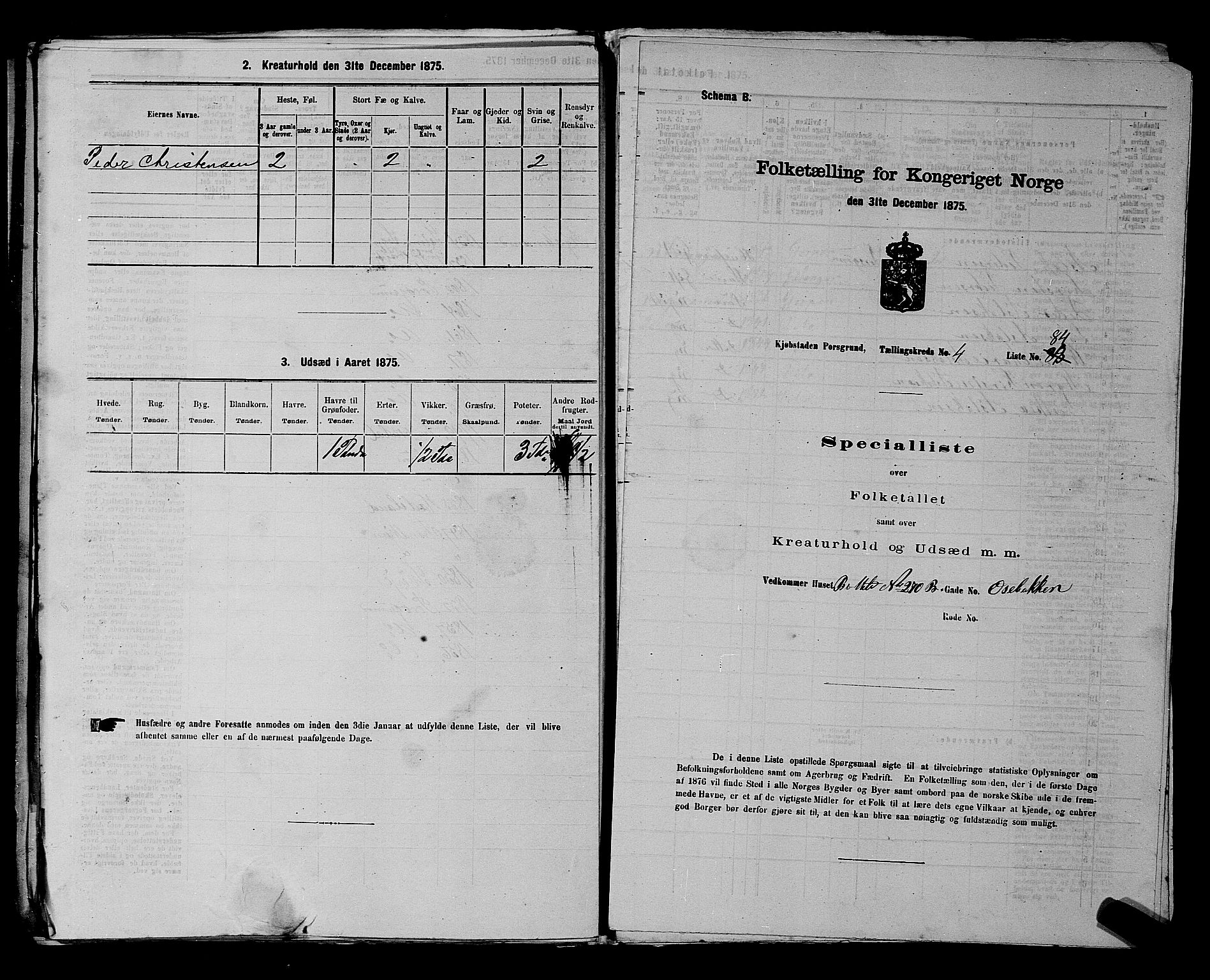 SAKO, Folketelling 1875 for 0805P Porsgrunn prestegjeld, 1875, s. 211
