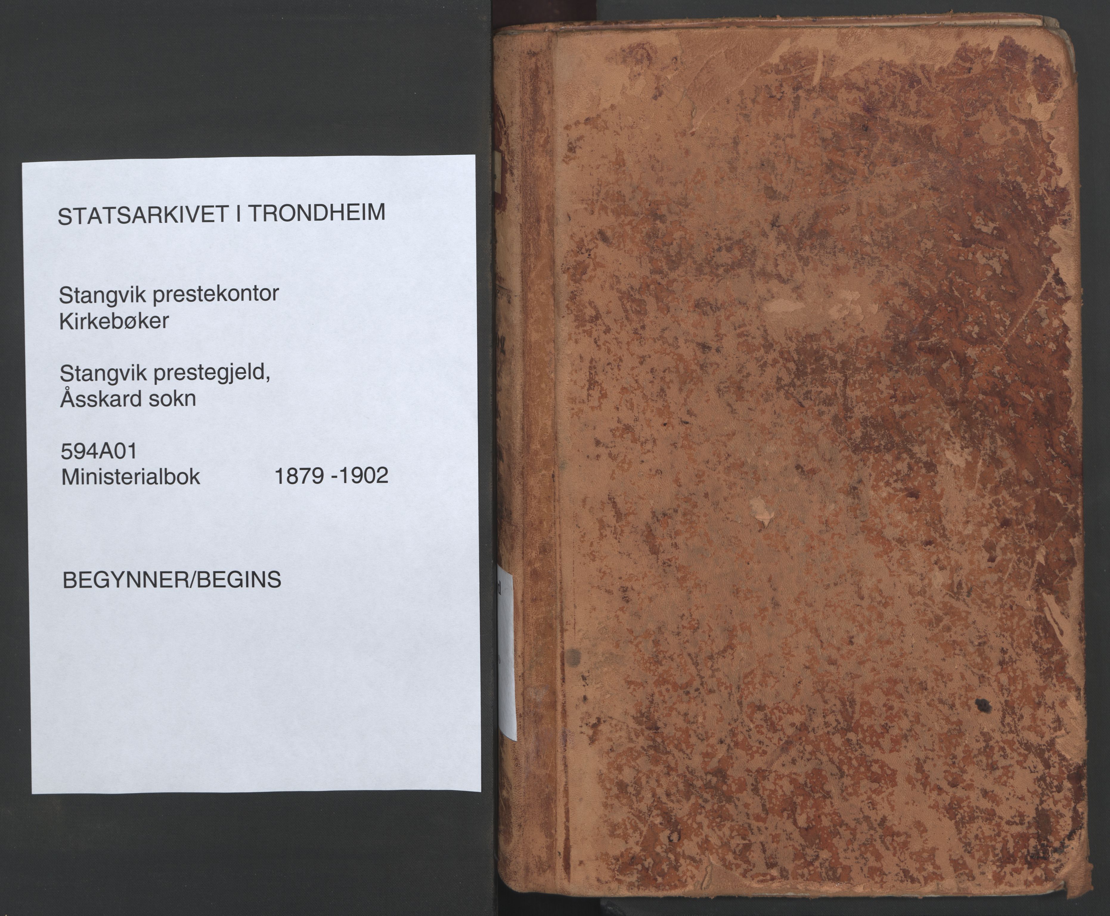 Ministerialprotokoller, klokkerbøker og fødselsregistre - Møre og Romsdal, SAT/A-1454/594/L1036: Ministerialbok nr. 594A02 (?), 1879-1910