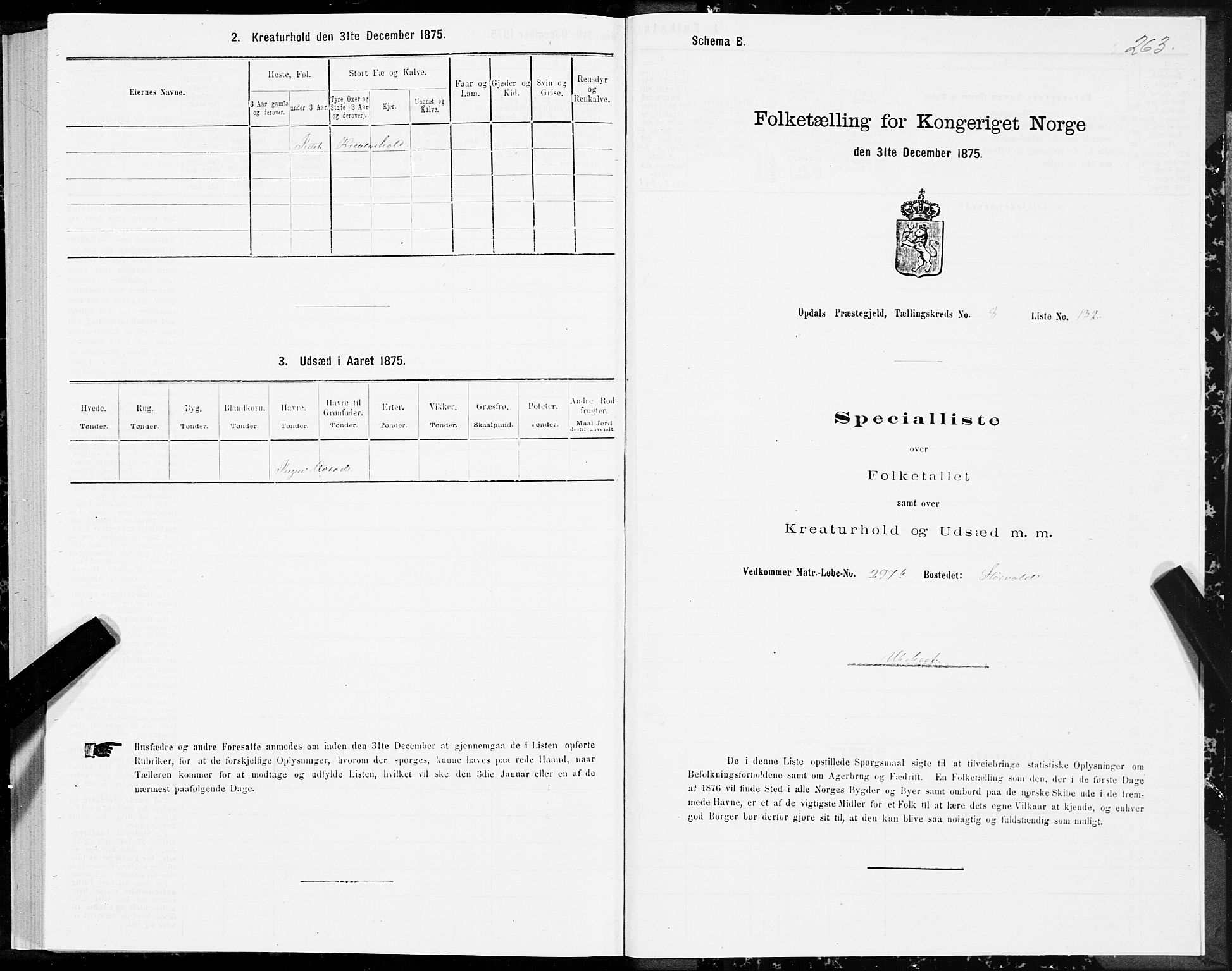 SAT, Folketelling 1875 for 1634P Oppdal prestegjeld, 1875, s. 5263