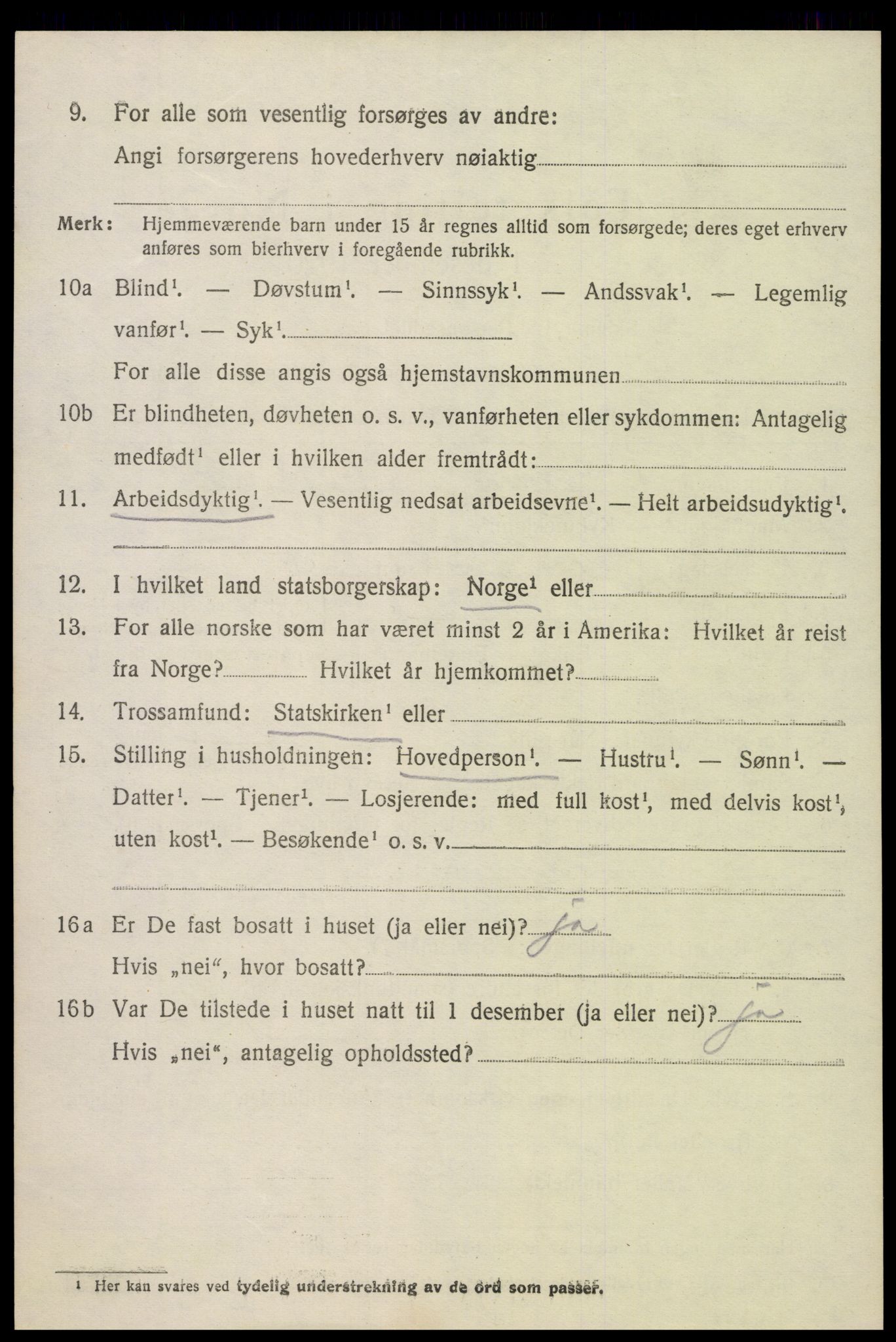 SAK, Folketelling 1920 for 0936 Hornnes herred, 1920, s. 3268
