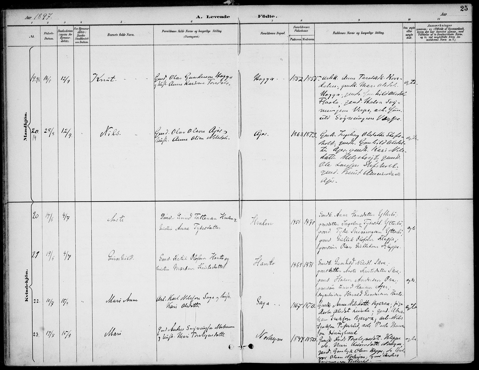 Lunde kirkebøker, AV/SAKO-A-282/F/Fa/L0003: Ministerialbok nr. I 3, 1893-1902, s. 25