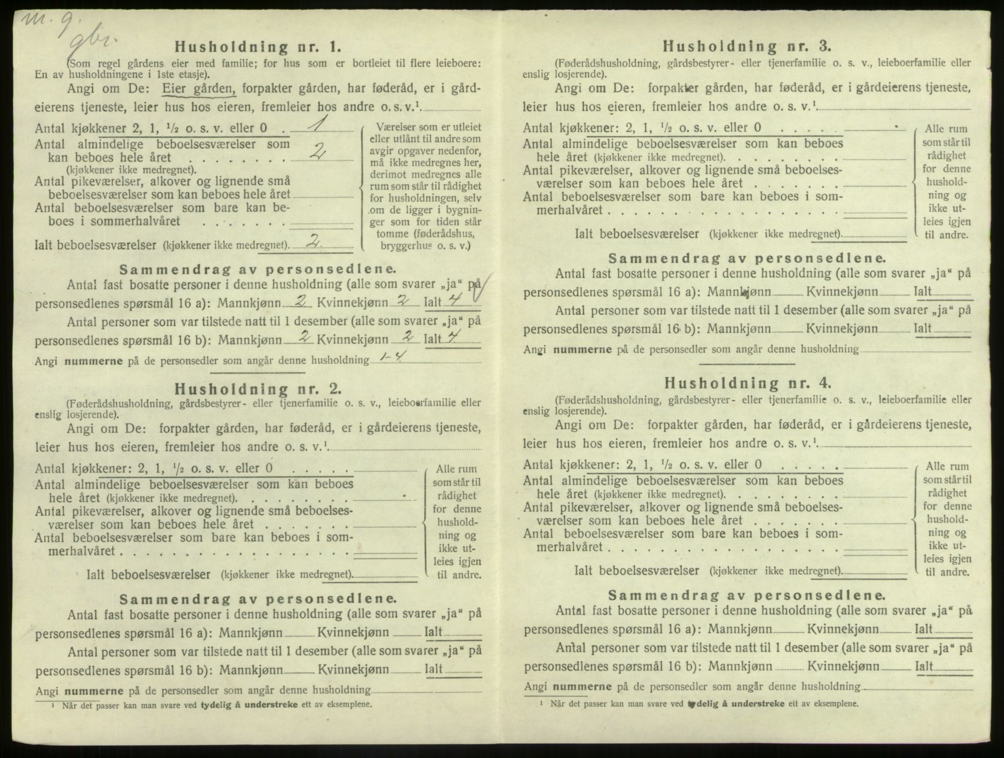 SAB, Folketelling 1920 for 1425 Hafslo herred, 1920, s. 45