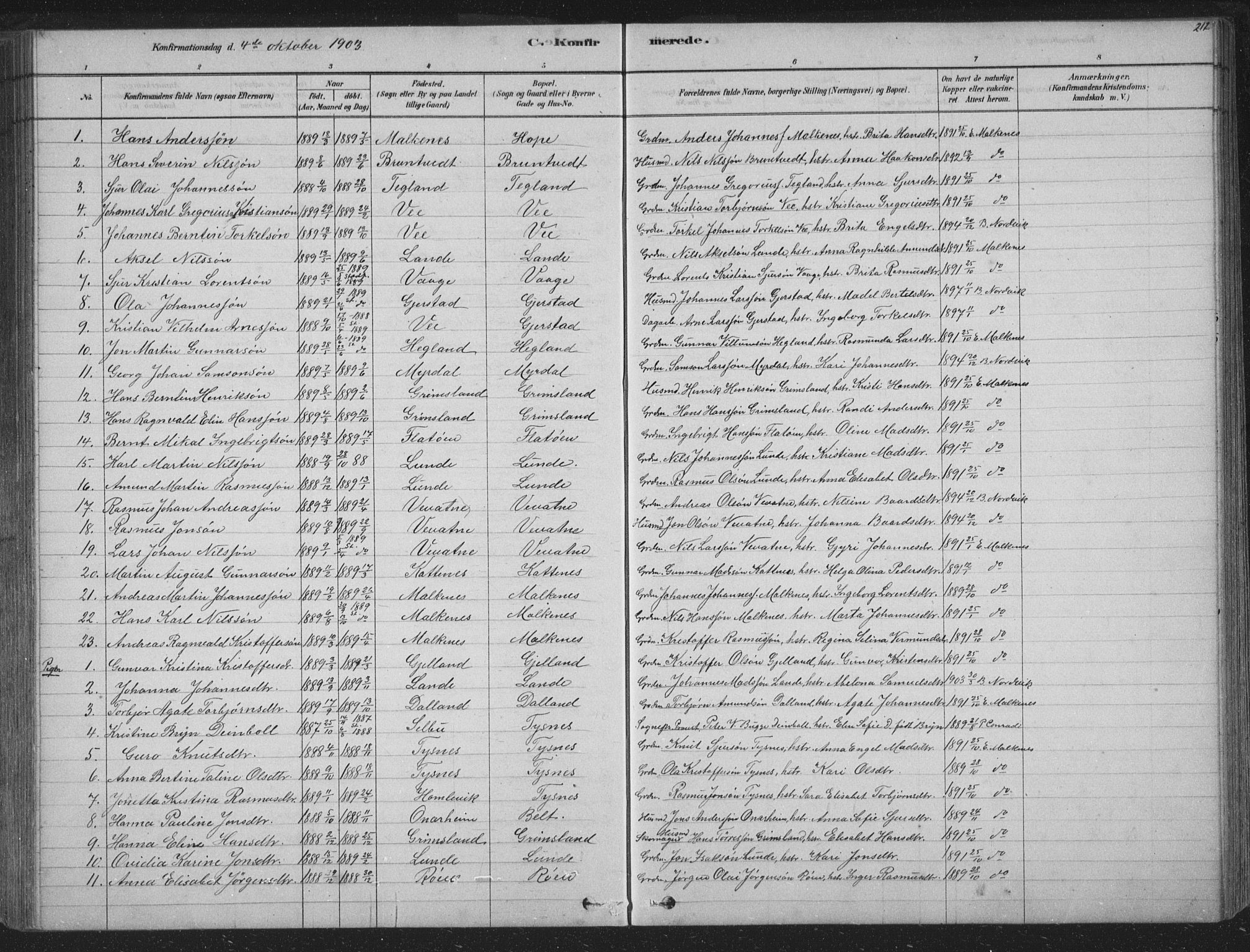 Tysnes sokneprestembete, AV/SAB-A-78601/H/Hab: Klokkerbok nr. B 2, 1878-1918, s. 212