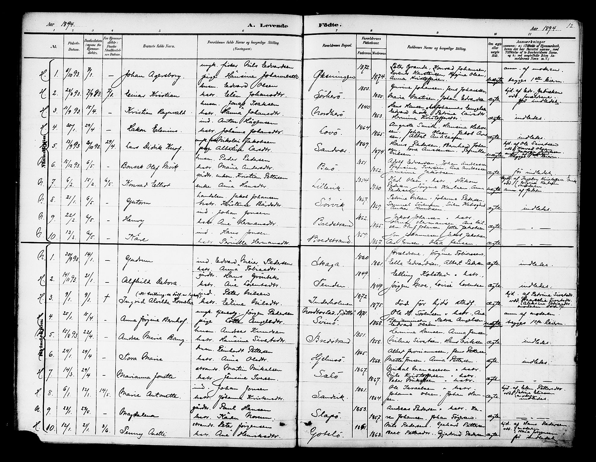 Ministerialprotokoller, klokkerbøker og fødselsregistre - Nordland, AV/SAT-A-1459/834/L0508: Ministerialbok nr. 834A06, 1892-1901, s. 12