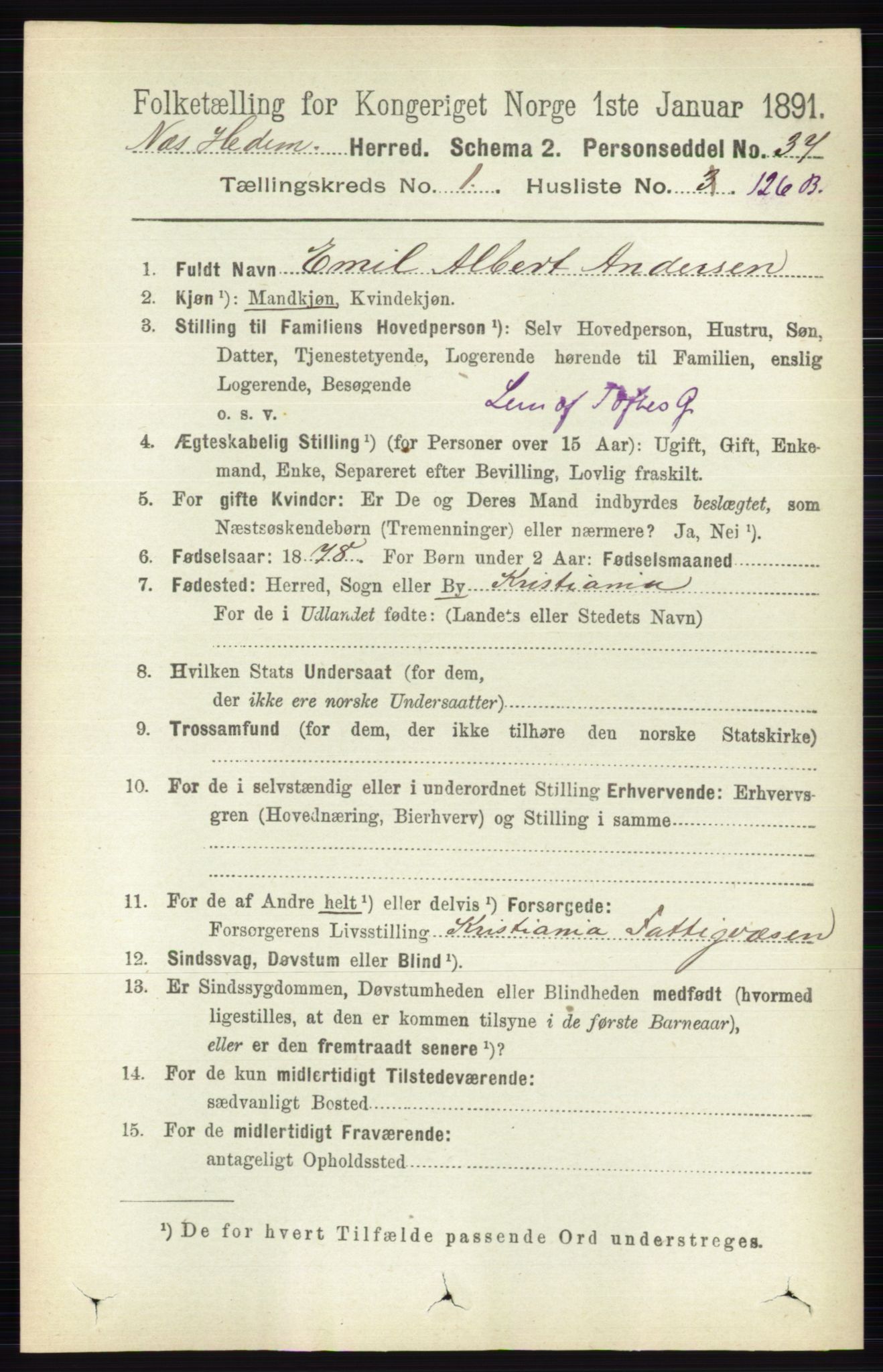 RA, Folketelling 1891 for 0411 Nes herred, 1891, s. 944