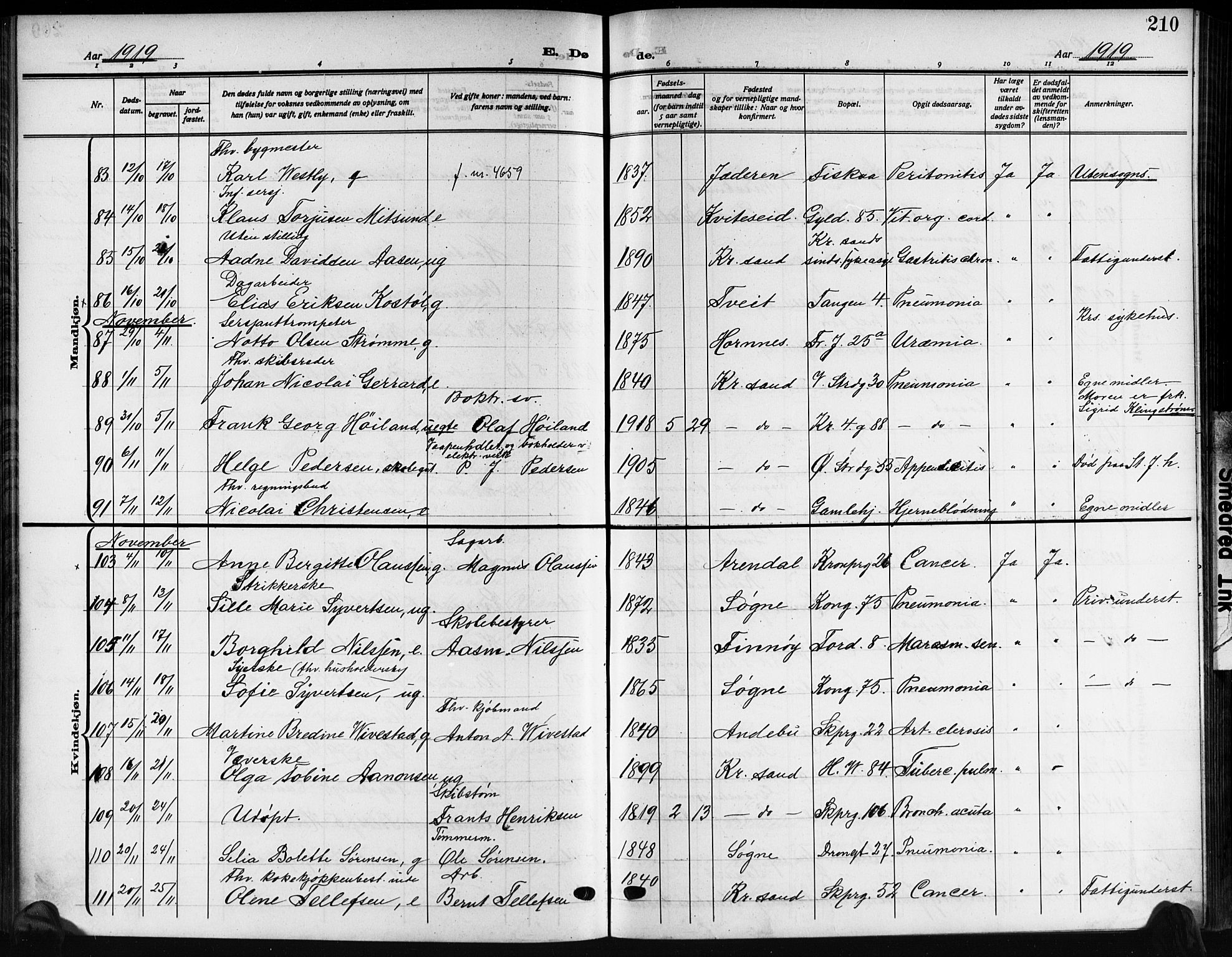Kristiansand domprosti, AV/SAK-1112-0006/F/Fb/L0022: Klokkerbok nr. B 22, 1915-1925, s. 210