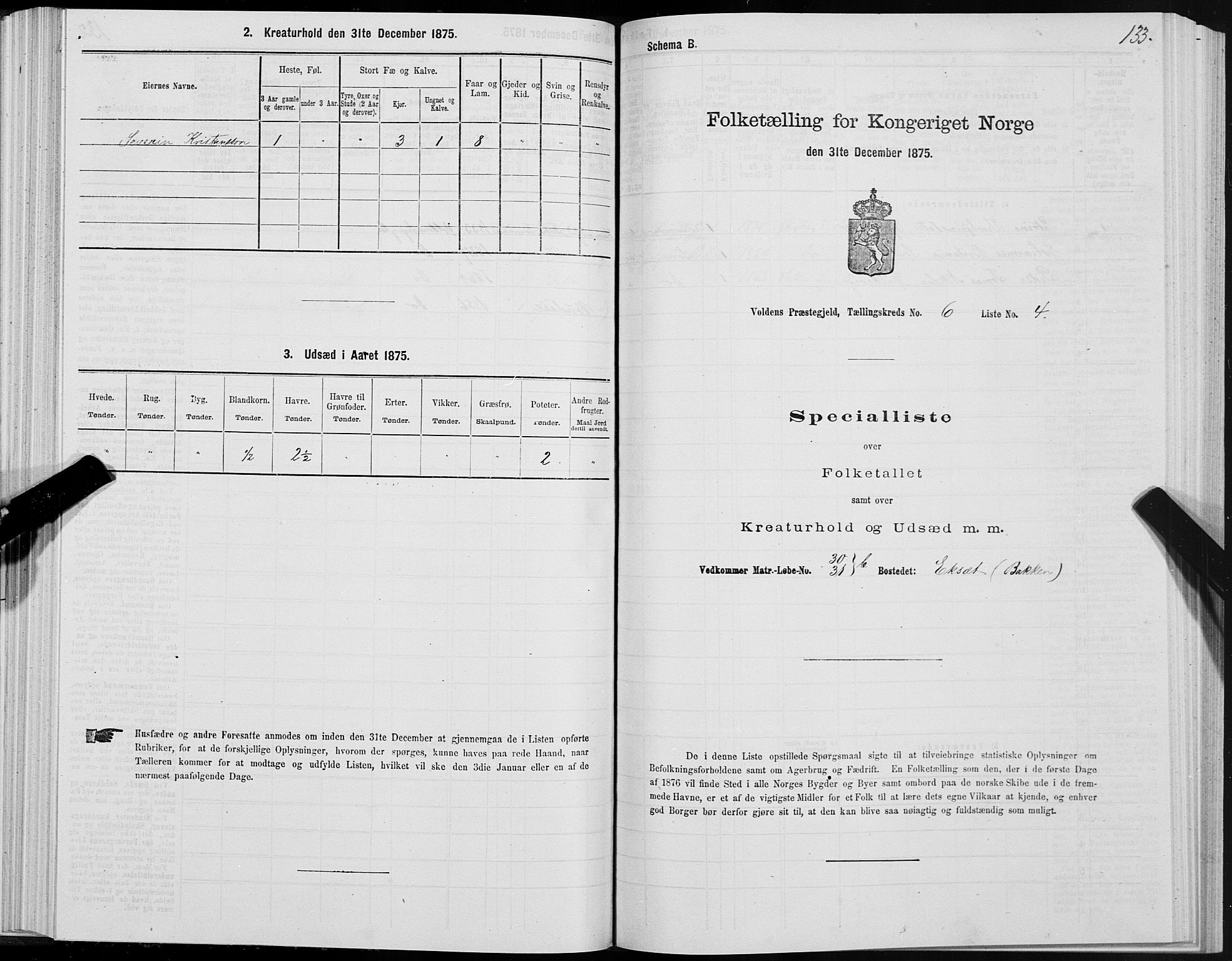 SAT, Folketelling 1875 for 1519P Volda prestegjeld, 1875, s. 4133
