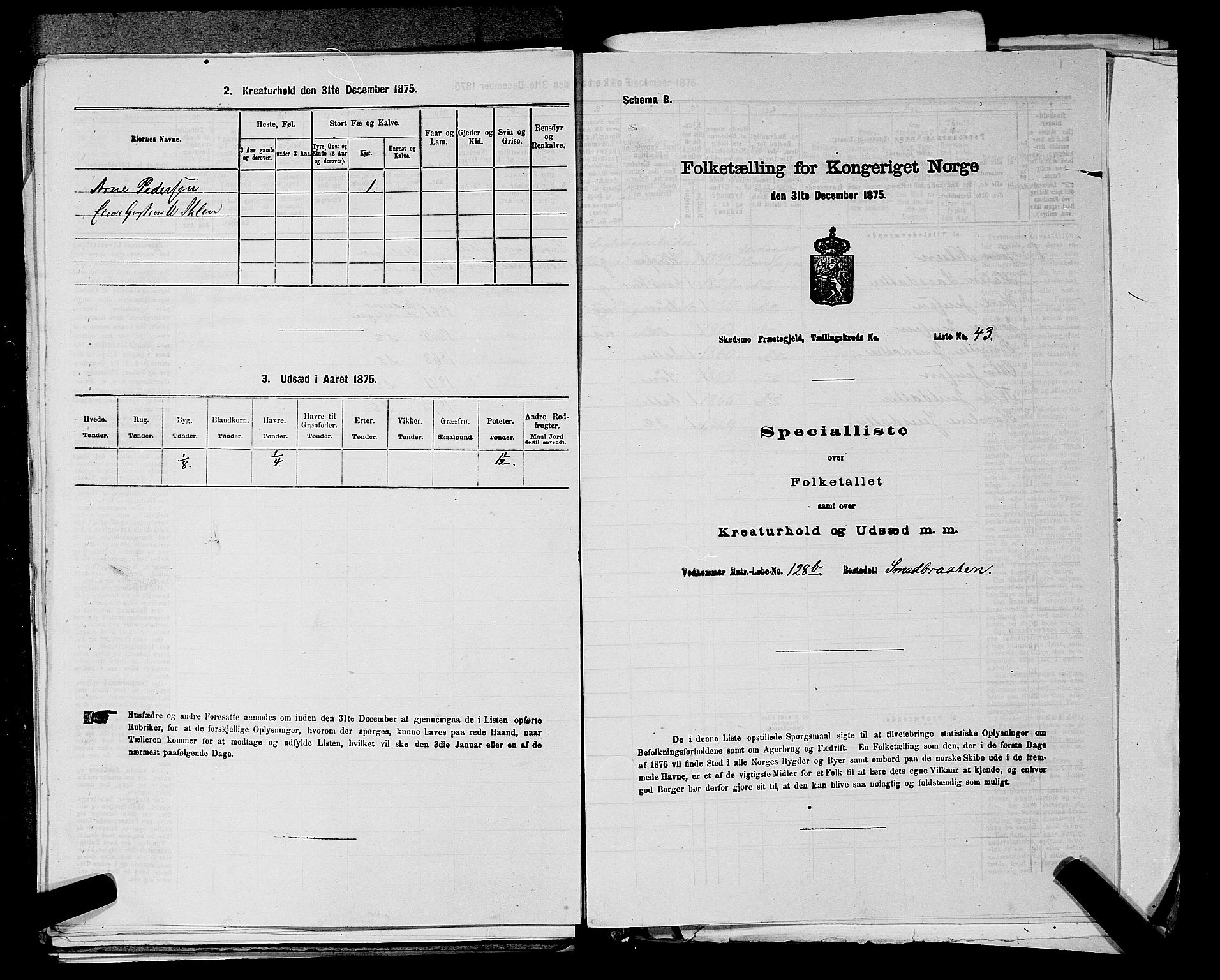RA, Folketelling 1875 for 0231P Skedsmo prestegjeld, 1875, s. 1120