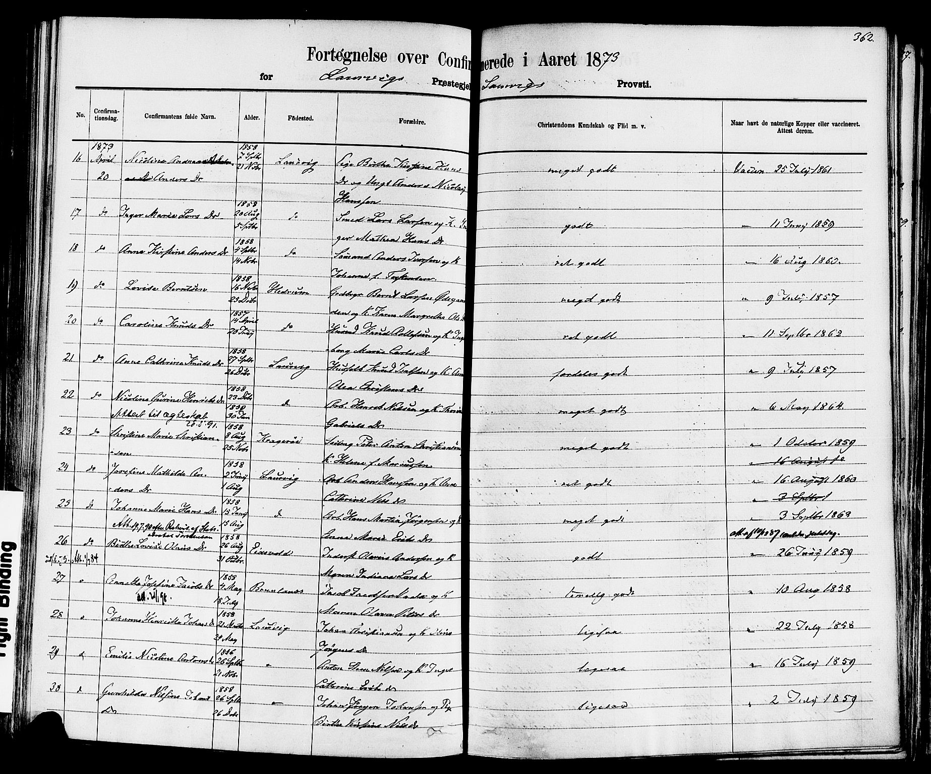 Larvik kirkebøker, SAKO/A-352/F/Fa/L0006: Ministerialbok nr. I 6, 1871-1883, s. 362