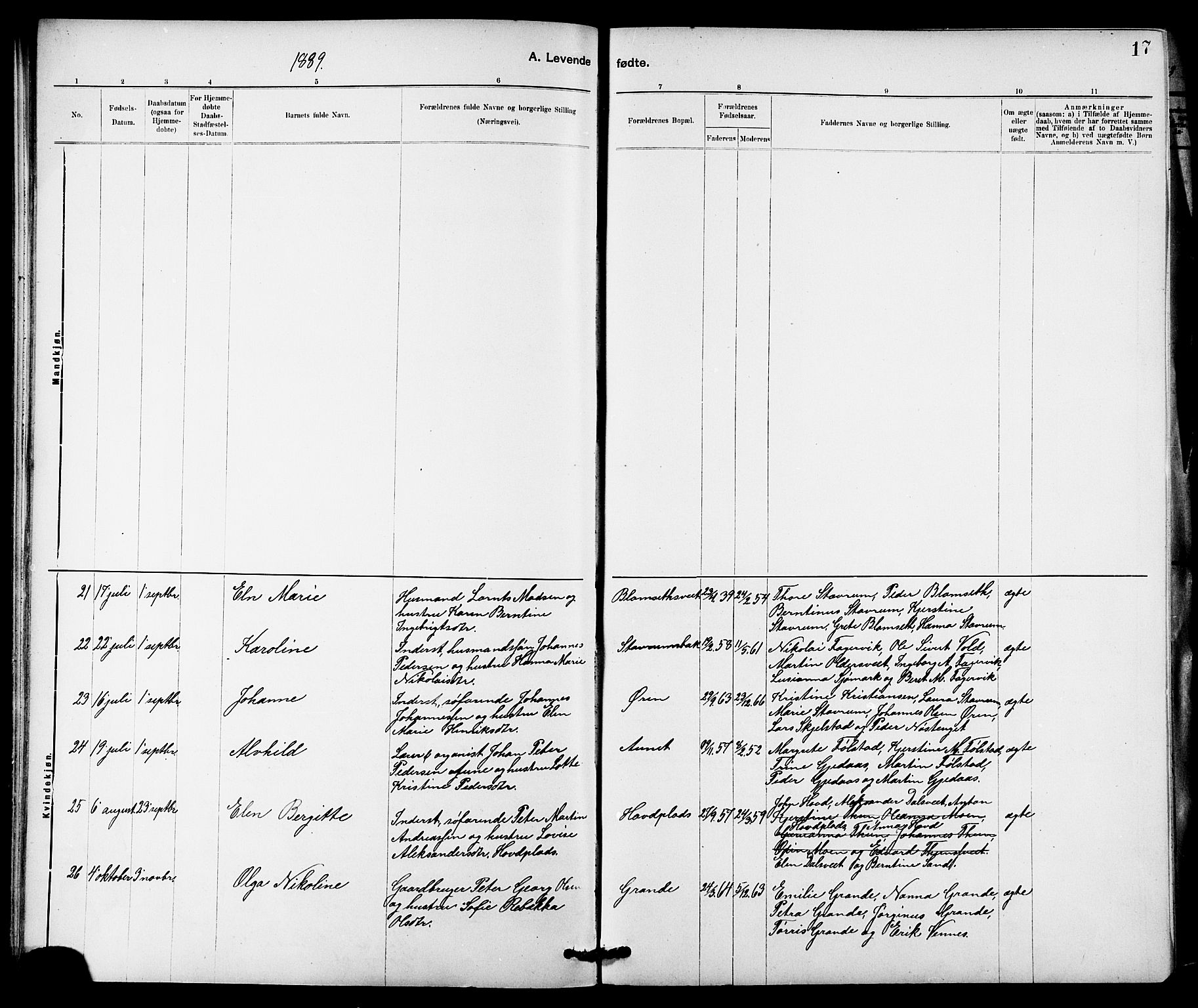 Ministerialprotokoller, klokkerbøker og fødselsregistre - Nord-Trøndelag, SAT/A-1458/744/L0423: Klokkerbok nr. 744C02, 1886-1905, s. 17