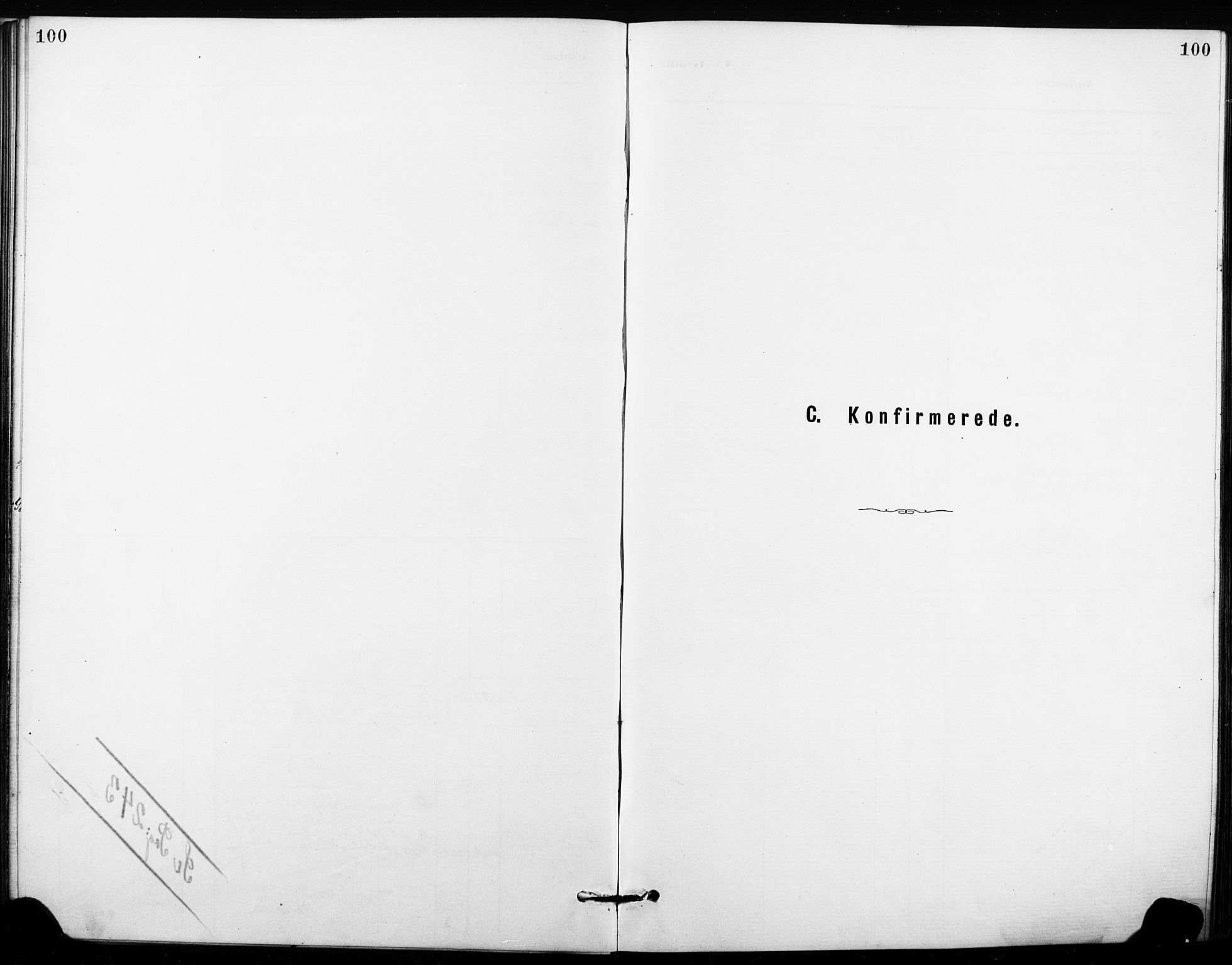 Hønefoss kirkebøker, SAKO/A-609/G/Ga/L0001: Klokkerbok nr. 1, 1870-1887, s. 100