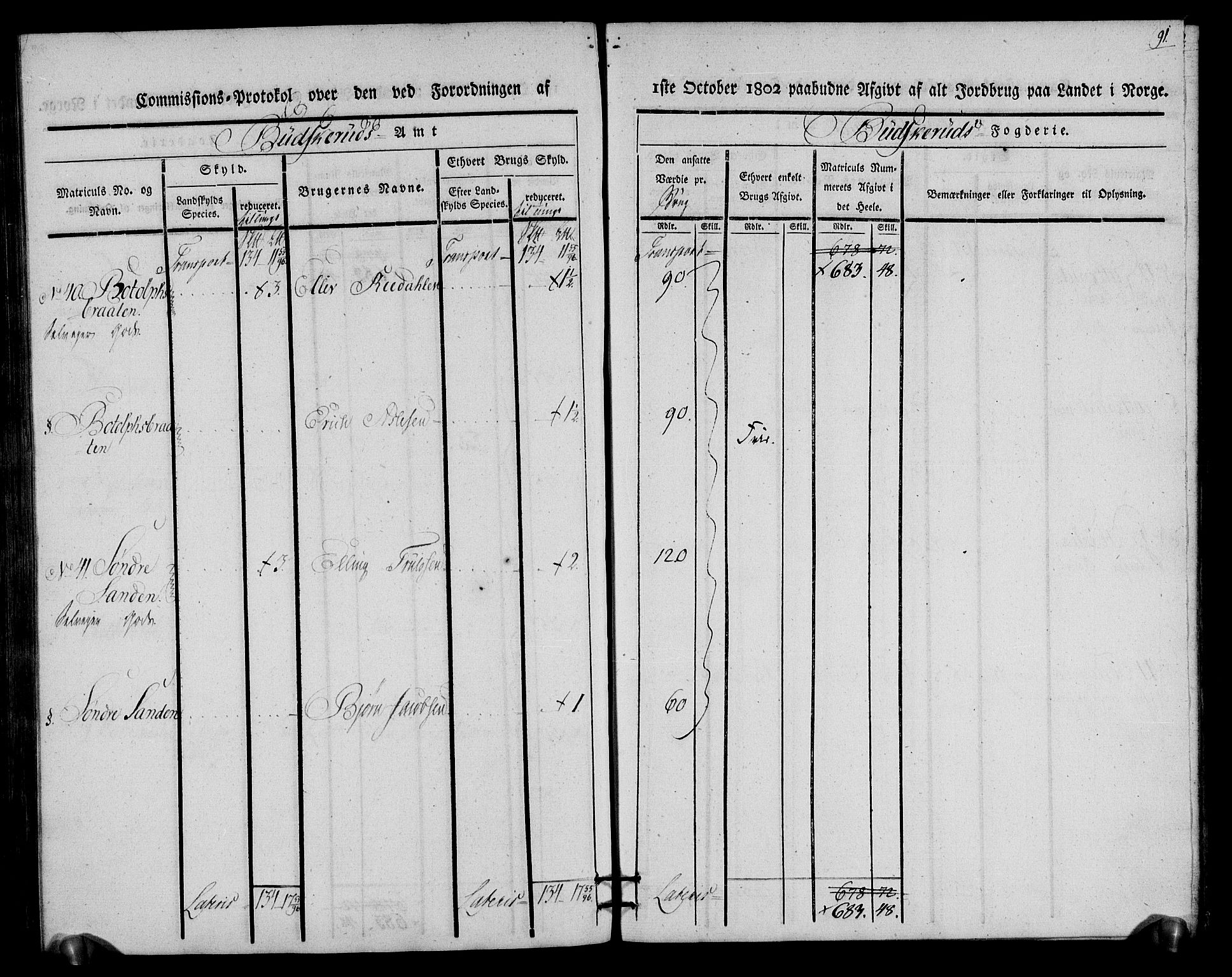 Rentekammeret inntil 1814, Realistisk ordnet avdeling, AV/RA-EA-4070/N/Ne/Nea/L0060: Buskerud fogderi. Kommisjonsprotokoll for Sigdal prestegjeld, 1803, s. 91