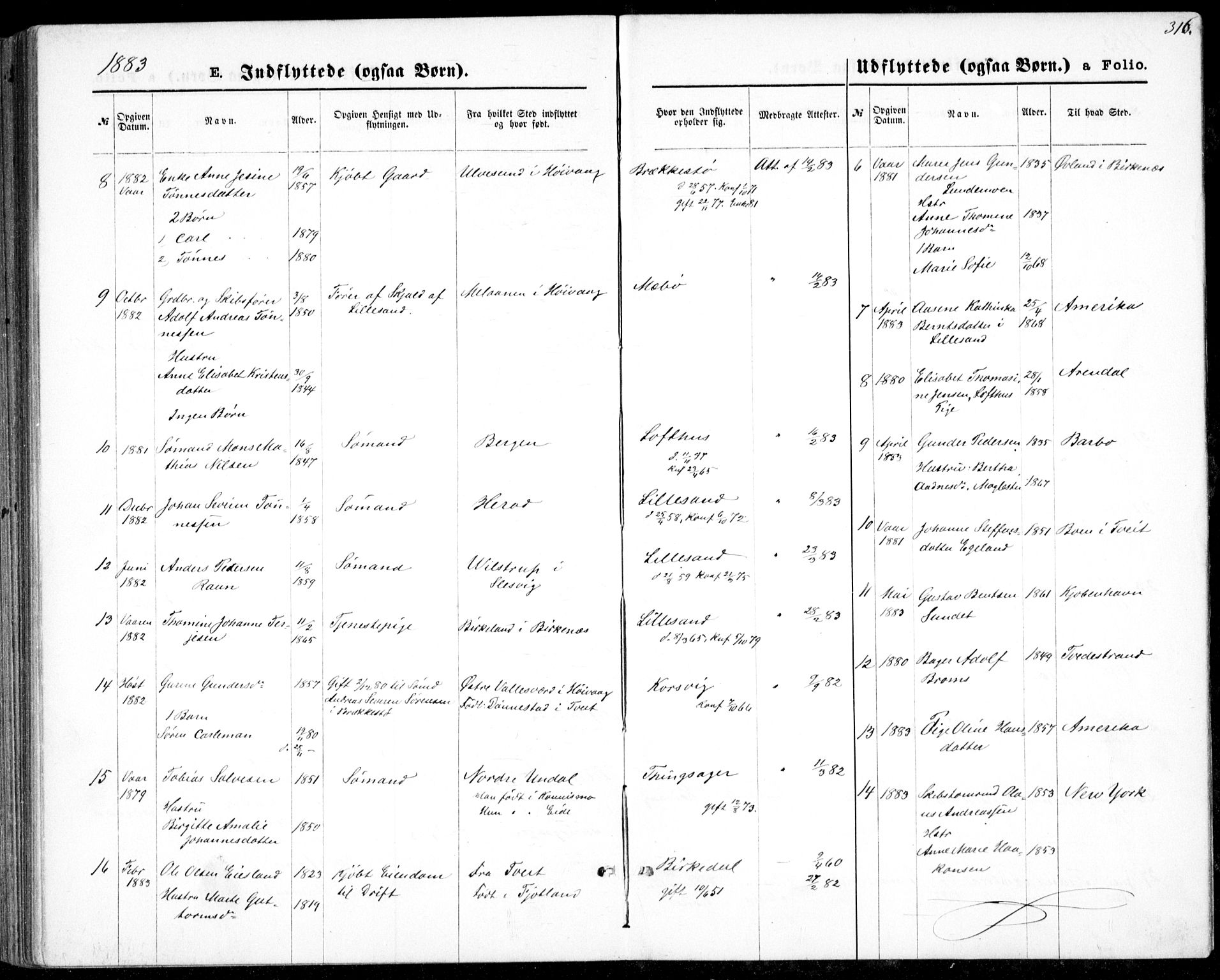 Vestre Moland sokneprestkontor, SAK/1111-0046/F/Fb/Fbb/L0005: Klokkerbok nr. B 5, 1872-1883, s. 316